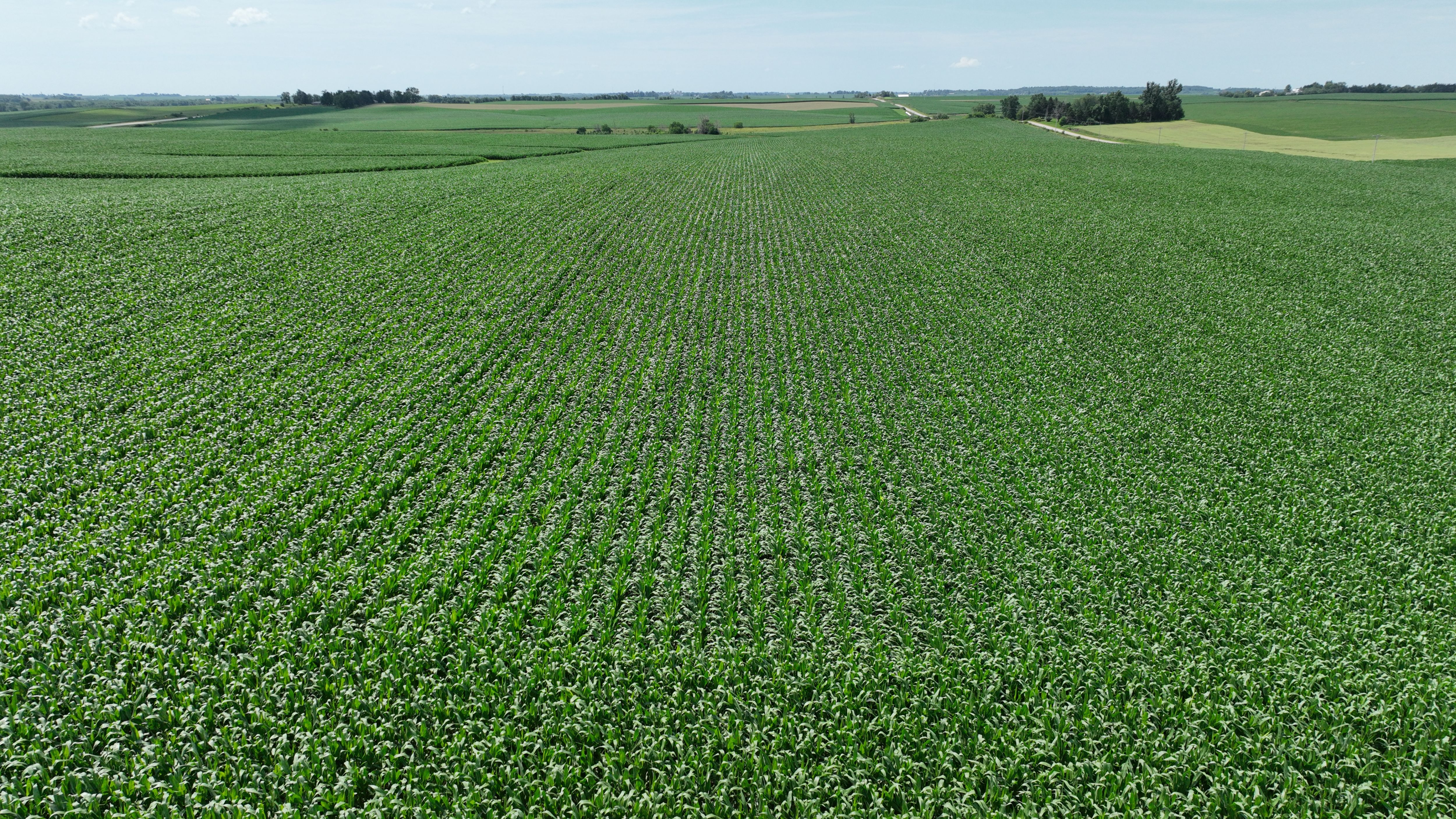 Listing Photo: 83 Acres M/L of Tama County Farmland Selling at Public Auction