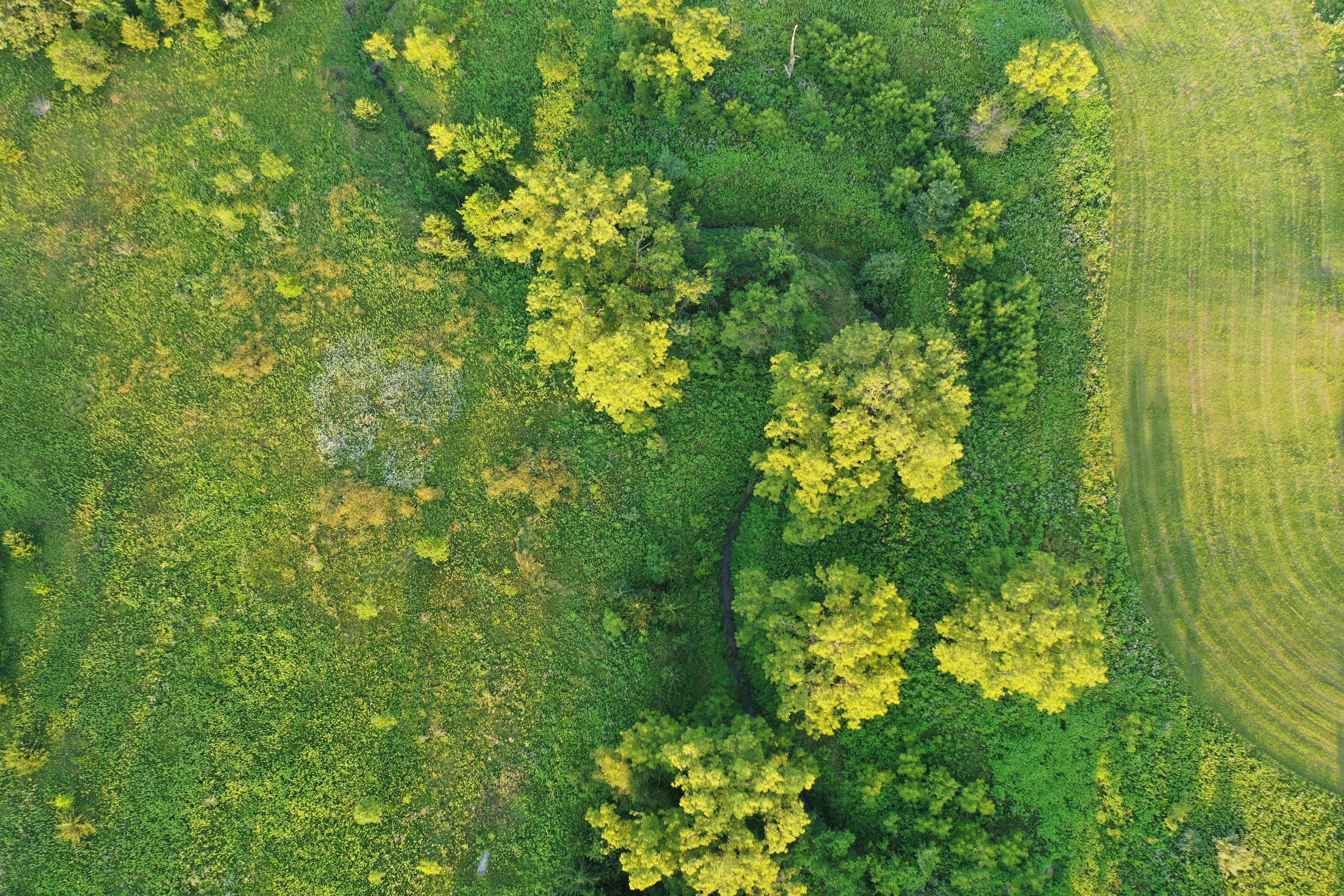 Listing Photo: DJI_0049