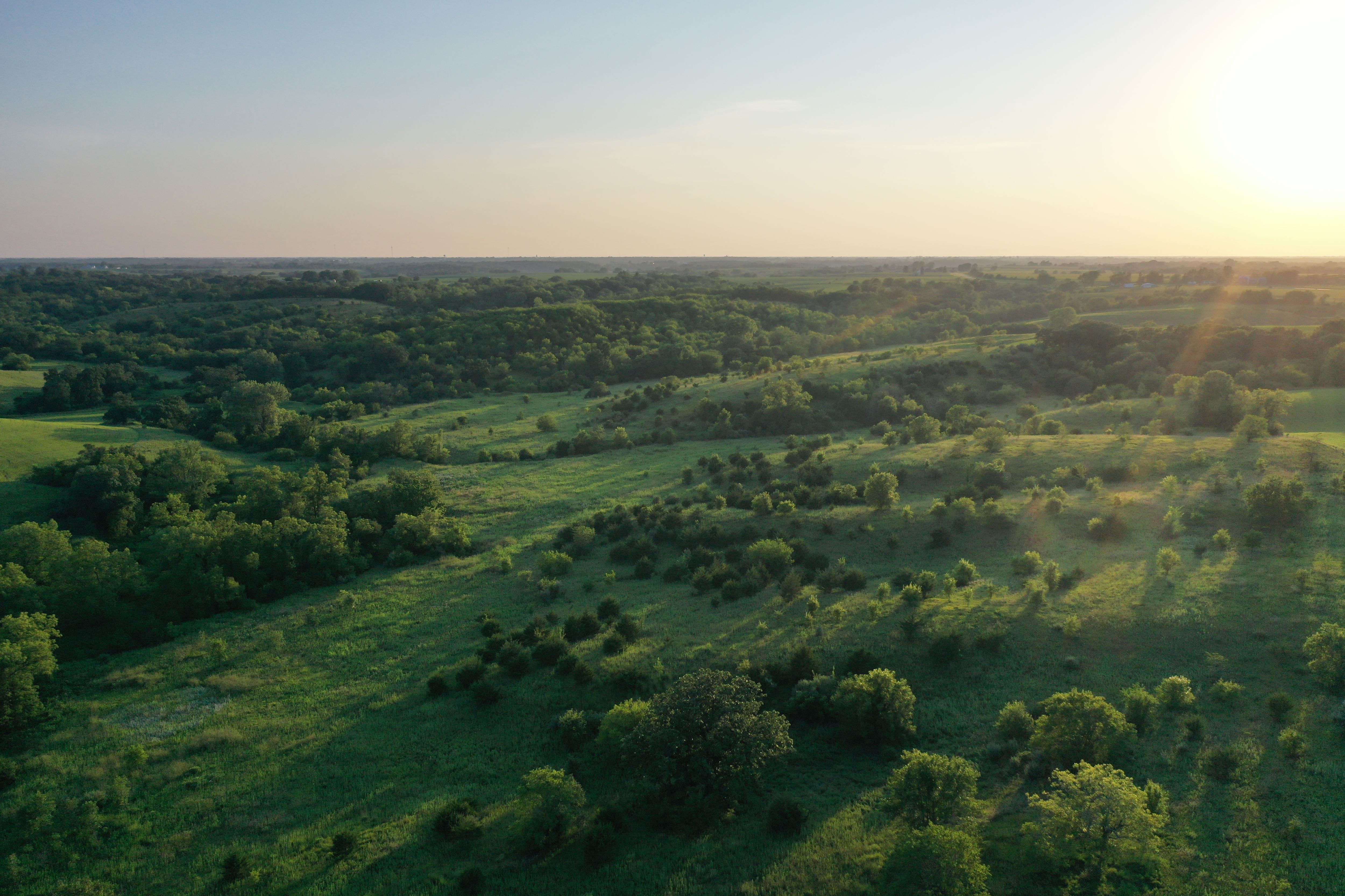 Listing Photo: DJI_0065