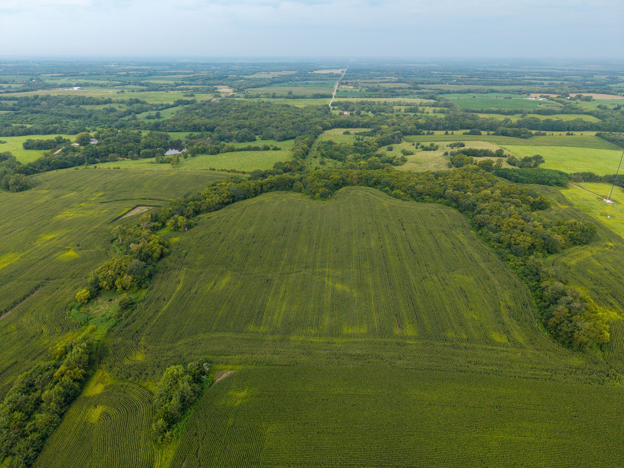Listing Photo: DJI_20250806093643_0033_D