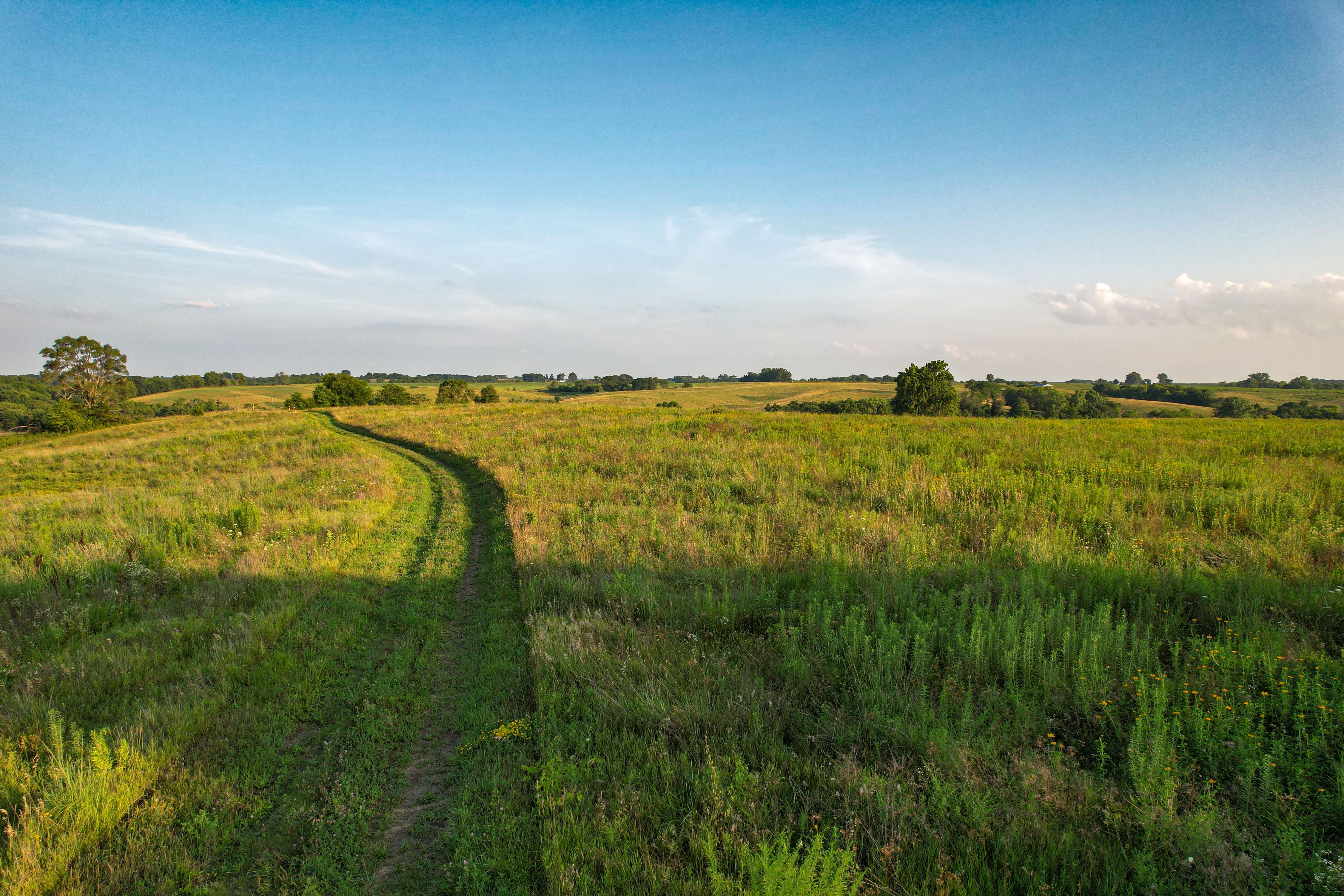 Listing Photo: DJI_0589