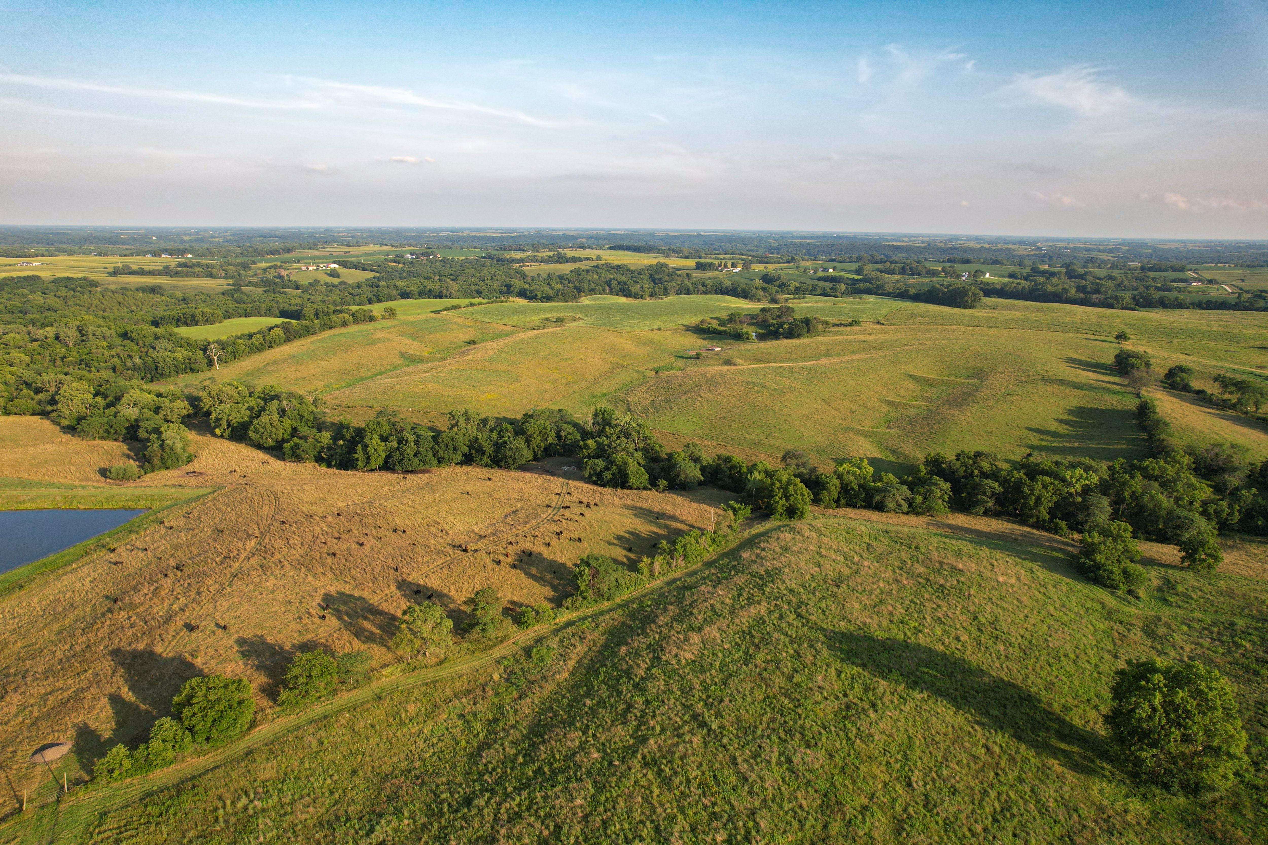 Listing Photo: DJI_0592