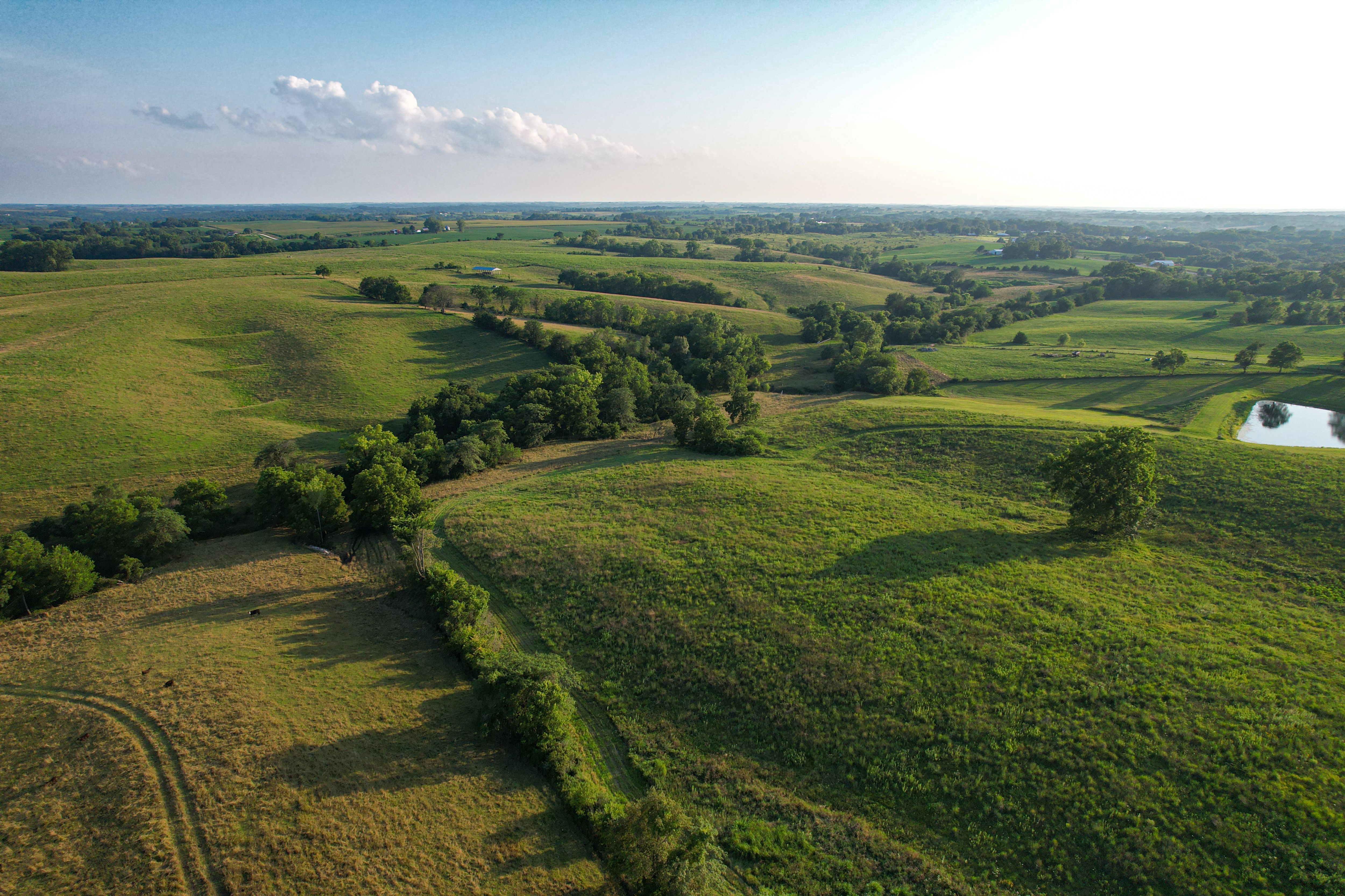 Listing Photo: DJI_0597