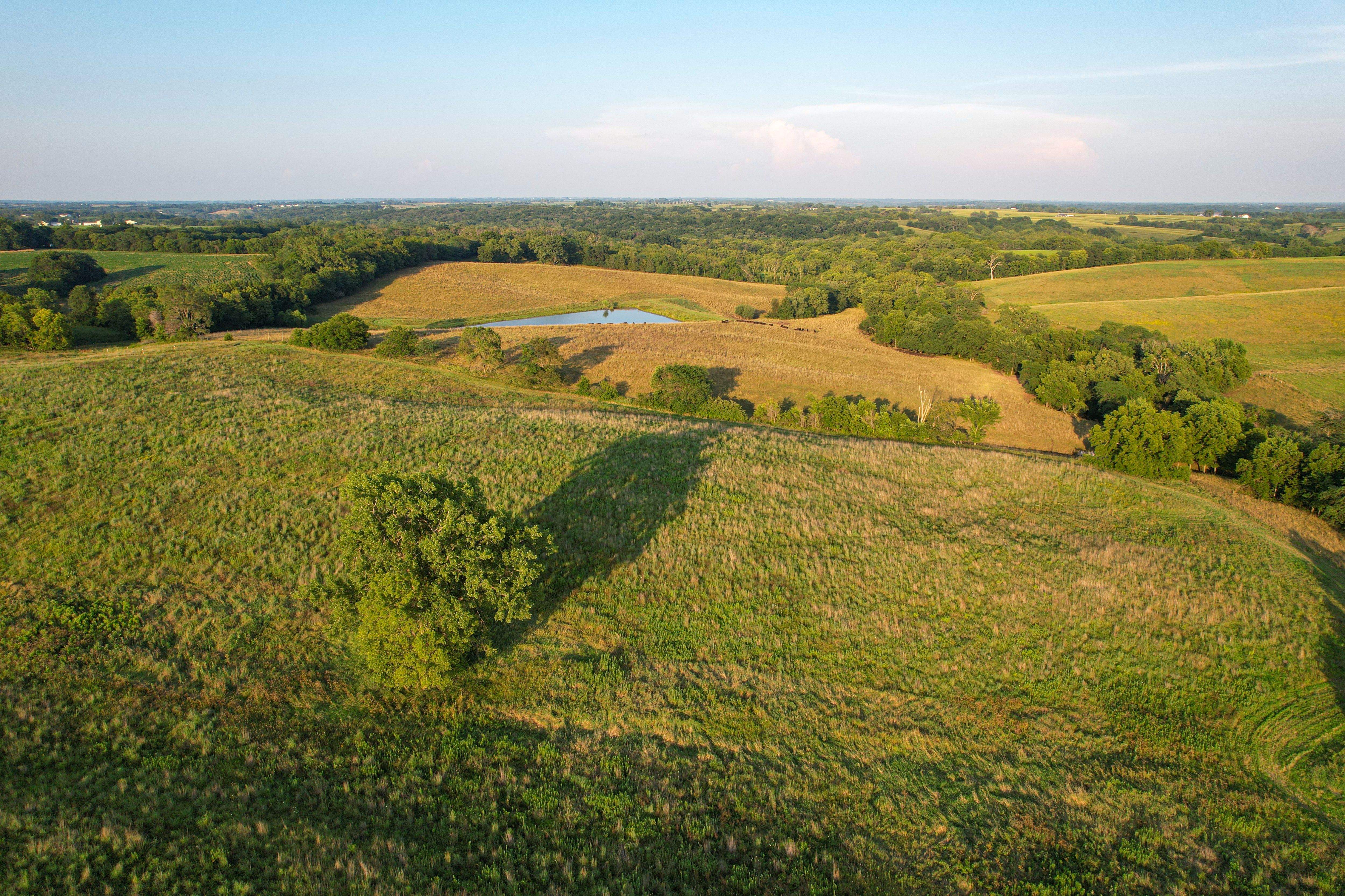 Listing Photo: DJI_0640
