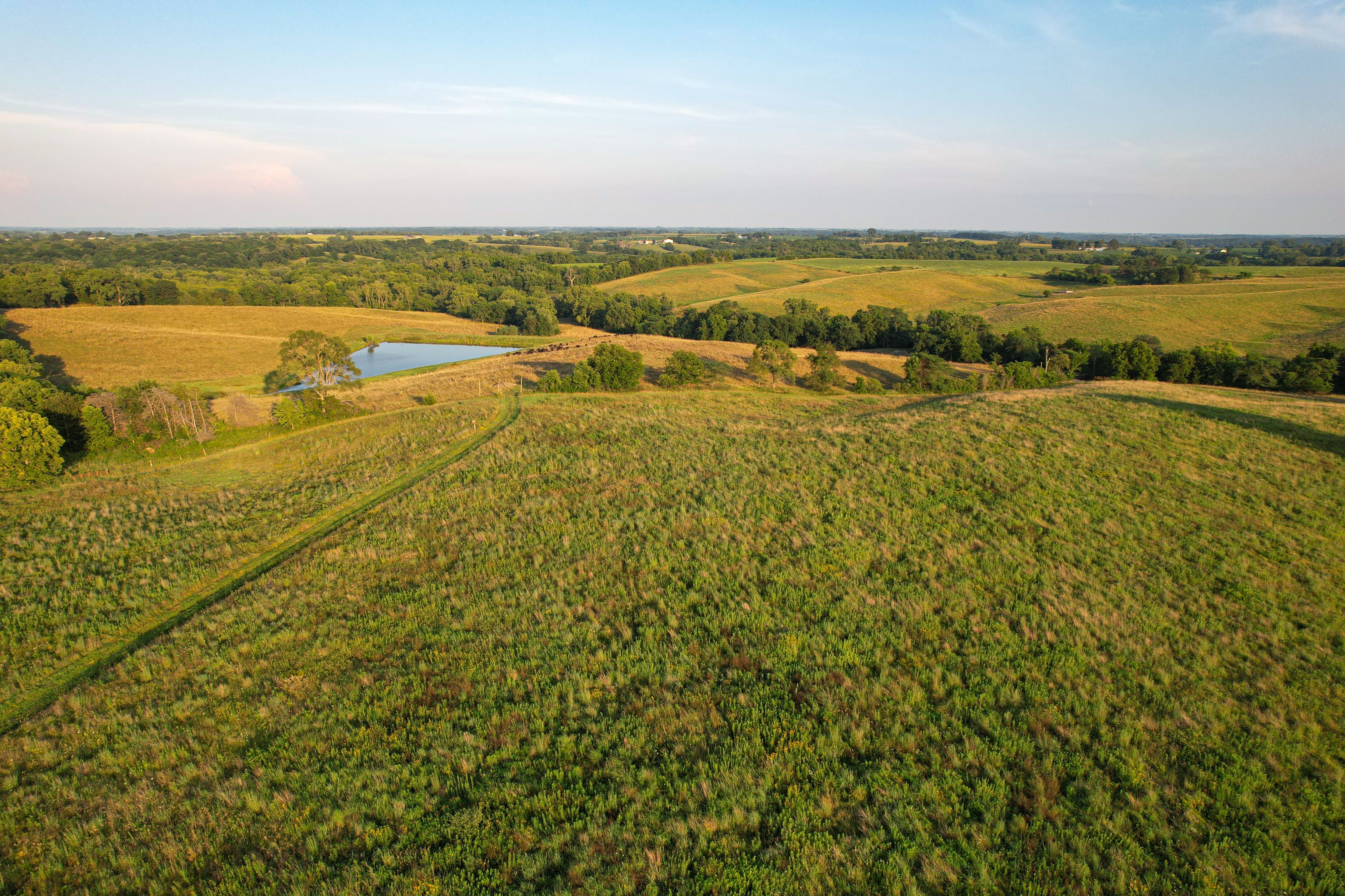 Listing Photo: DJI_0642