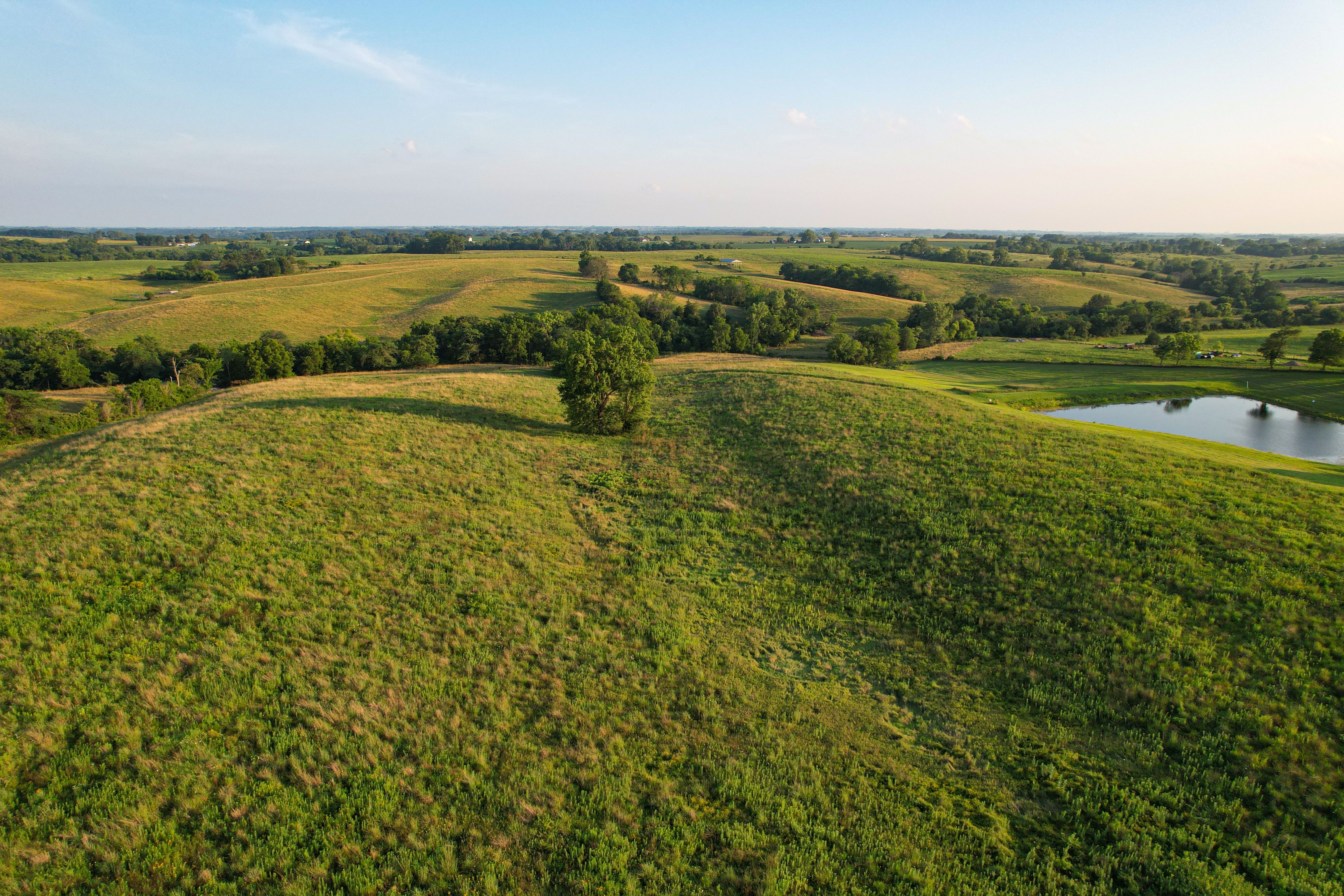 Listing Photo: DJI_0643