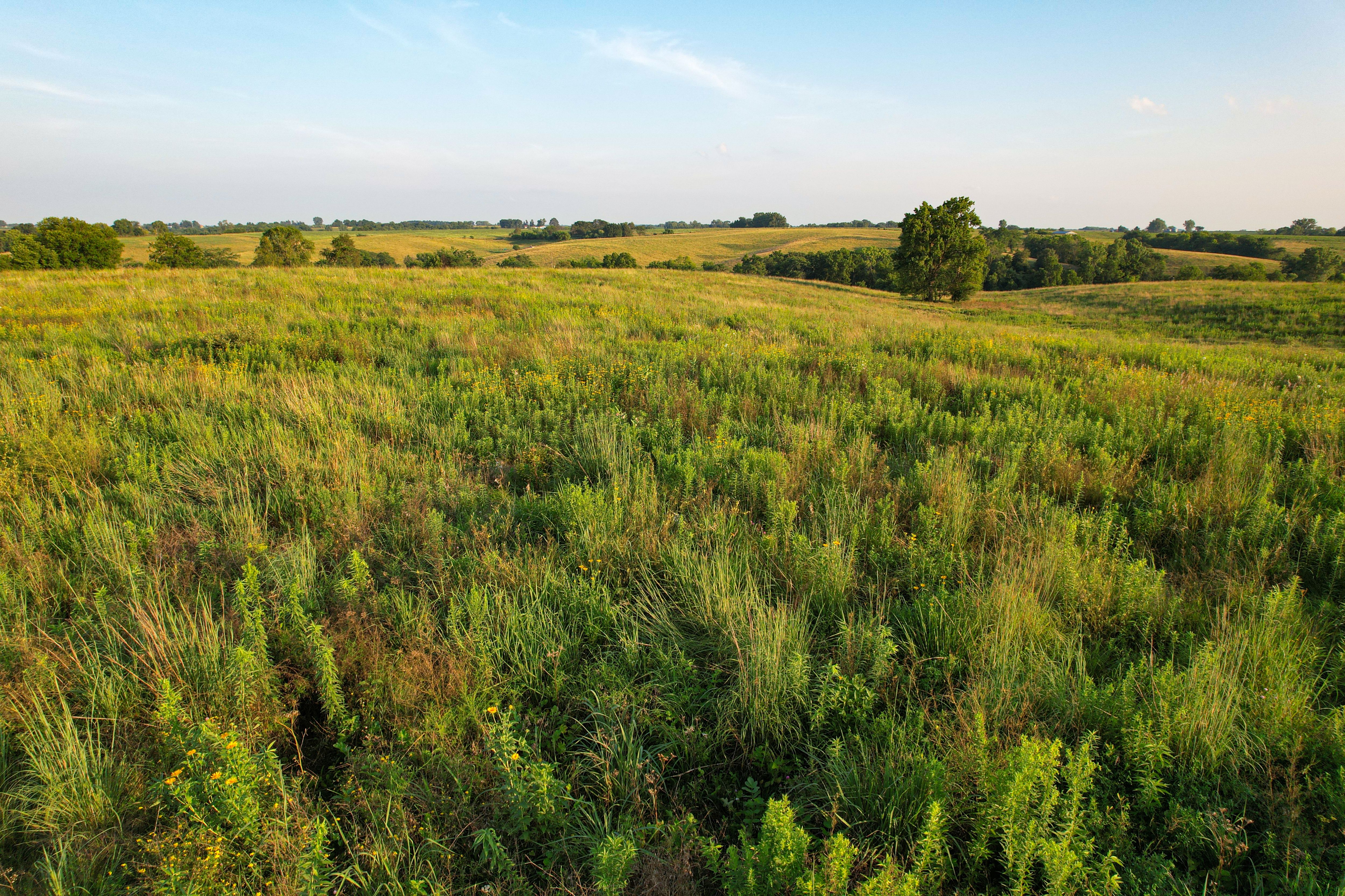 Listing Photo: DJI_0644