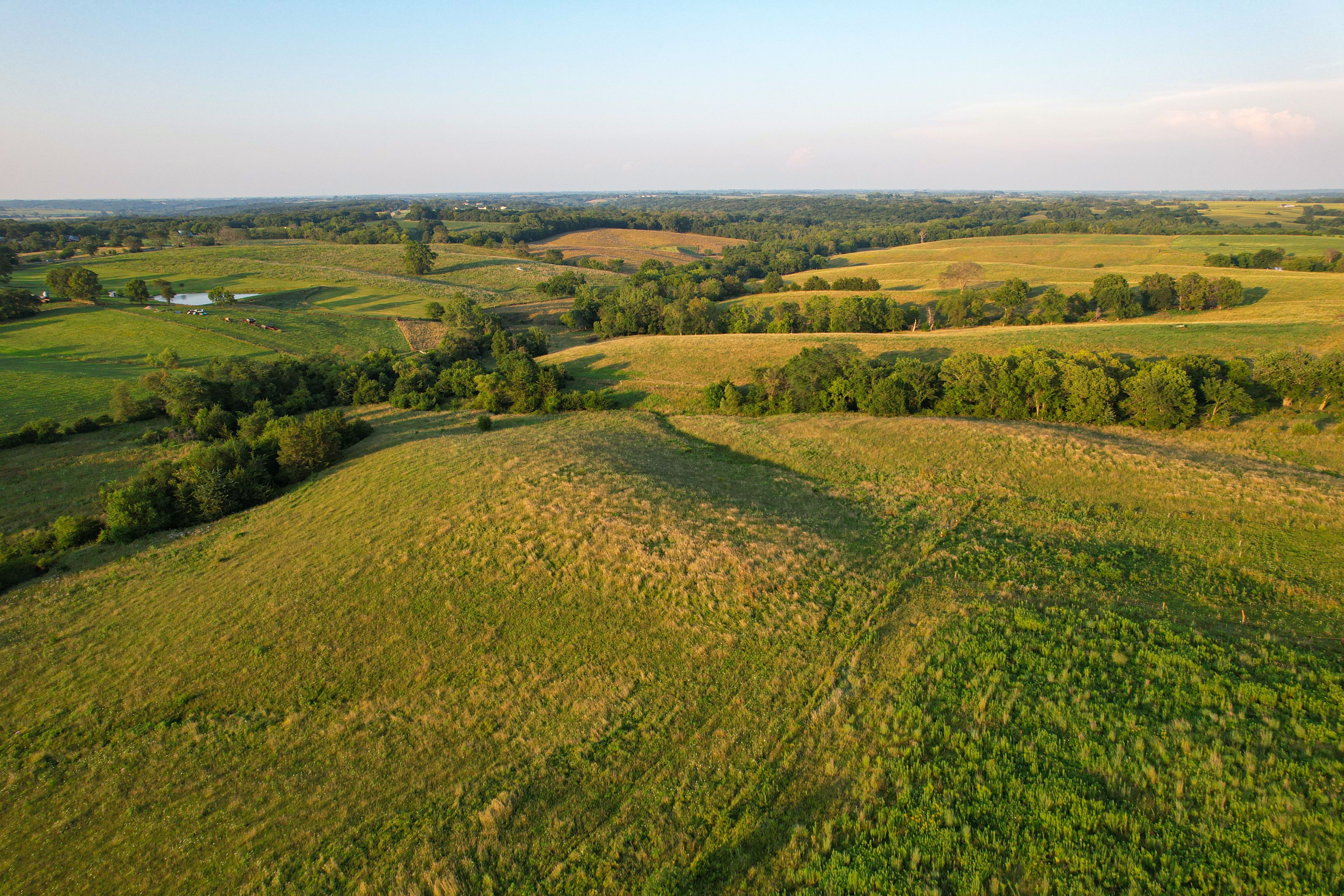 Listing Photo: DJI_0666