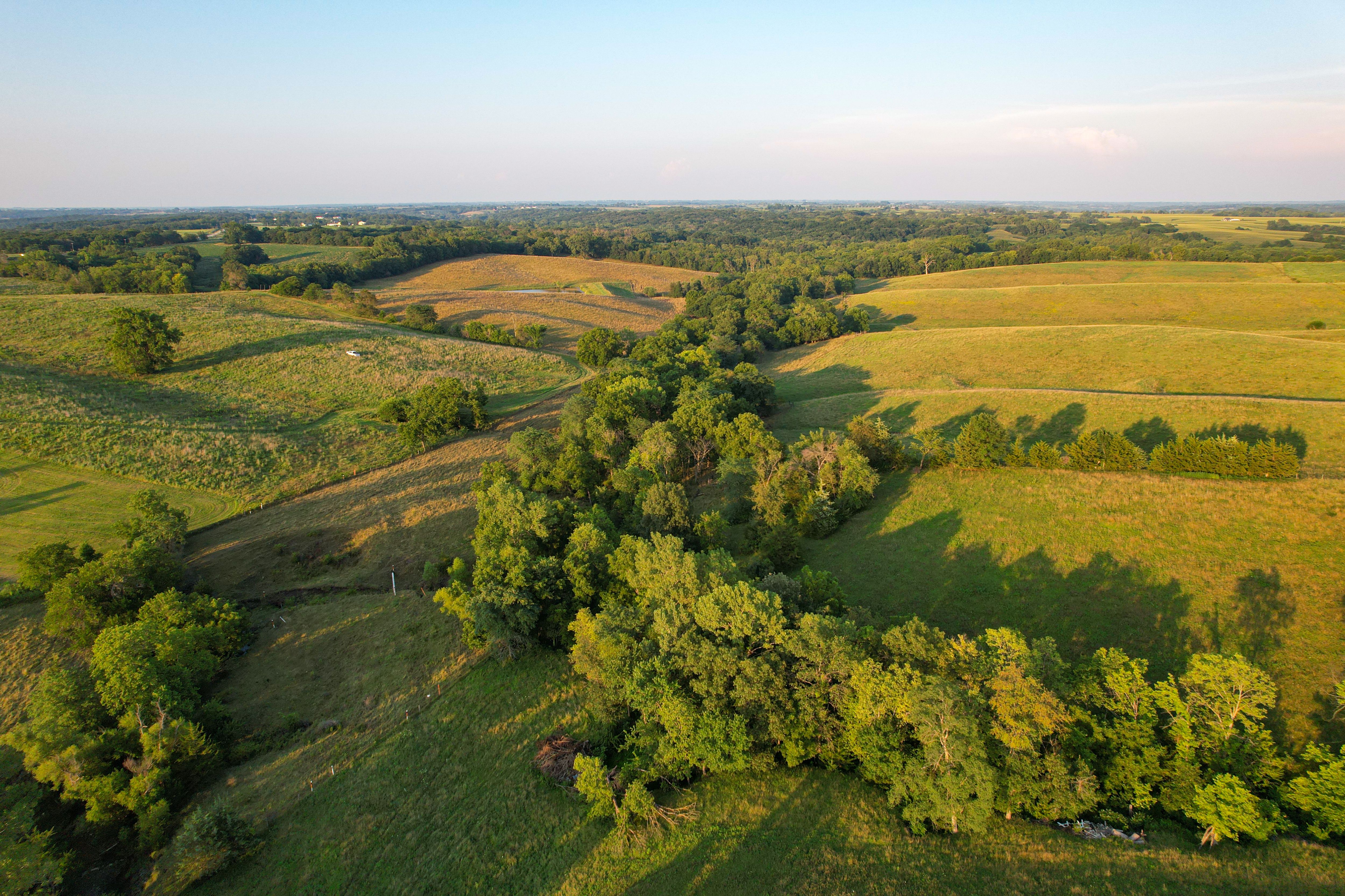 Listing Photo: DJI_0668
