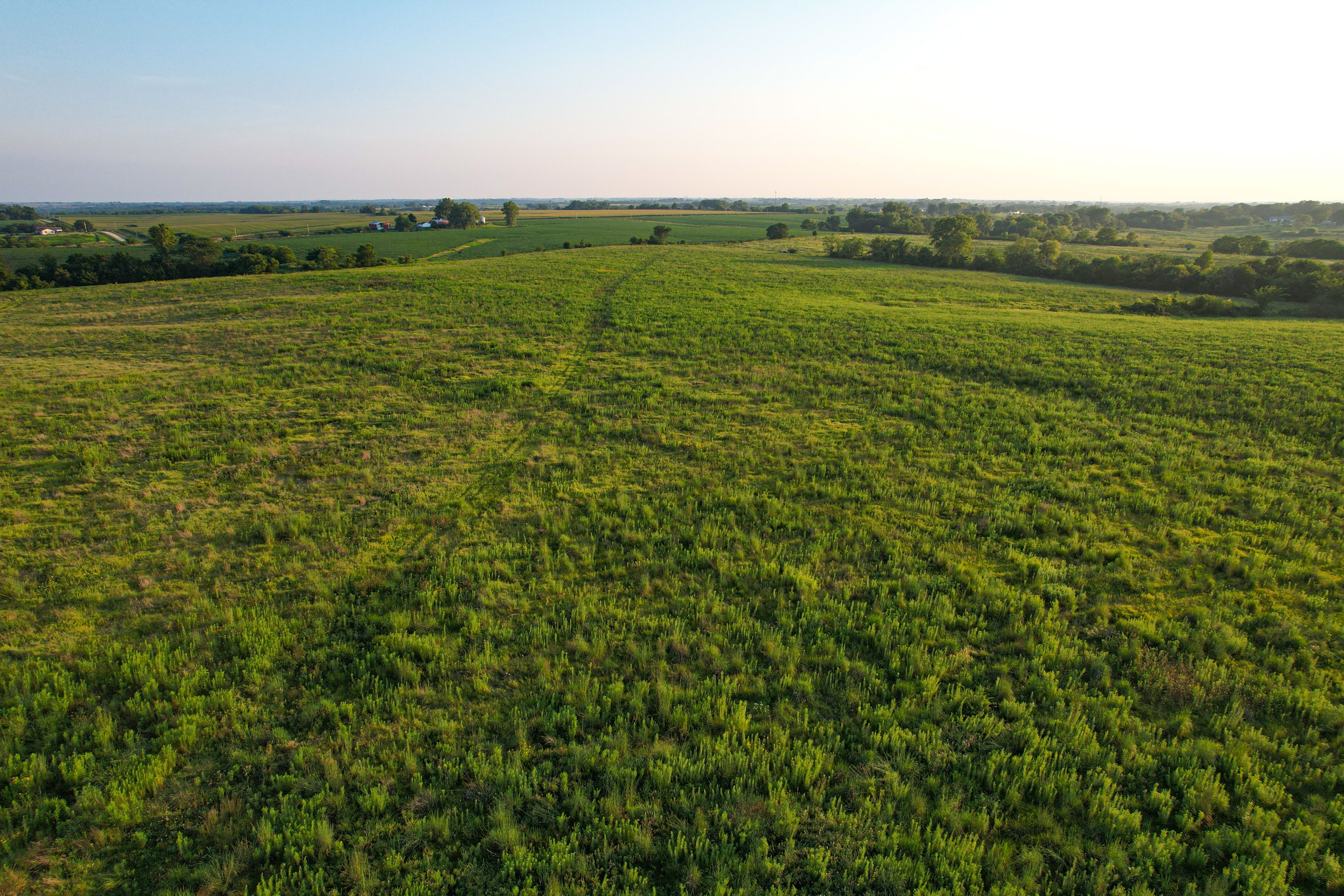 Listing Photo: DJI_0674