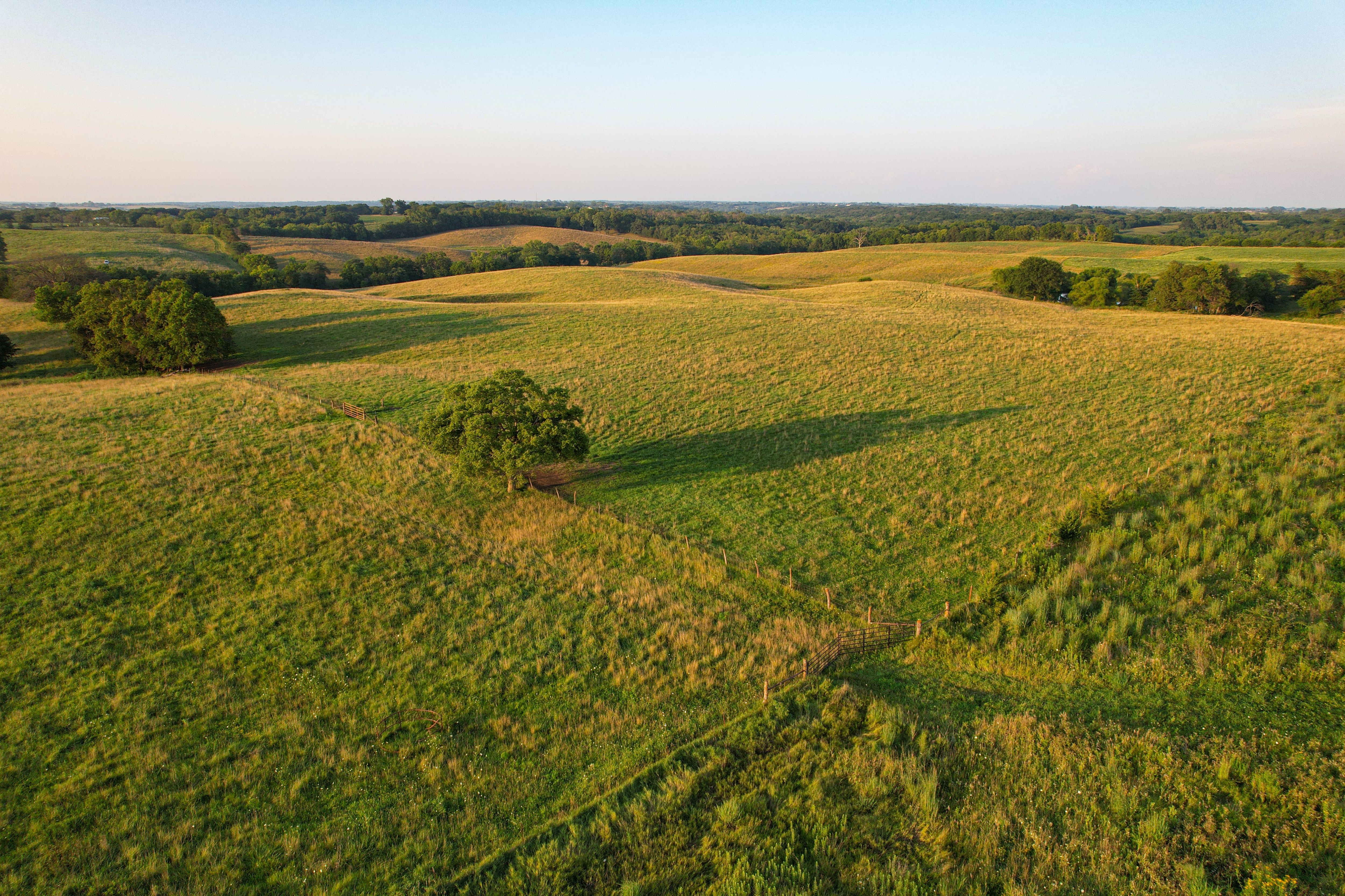 Listing Photo: DJI_0676