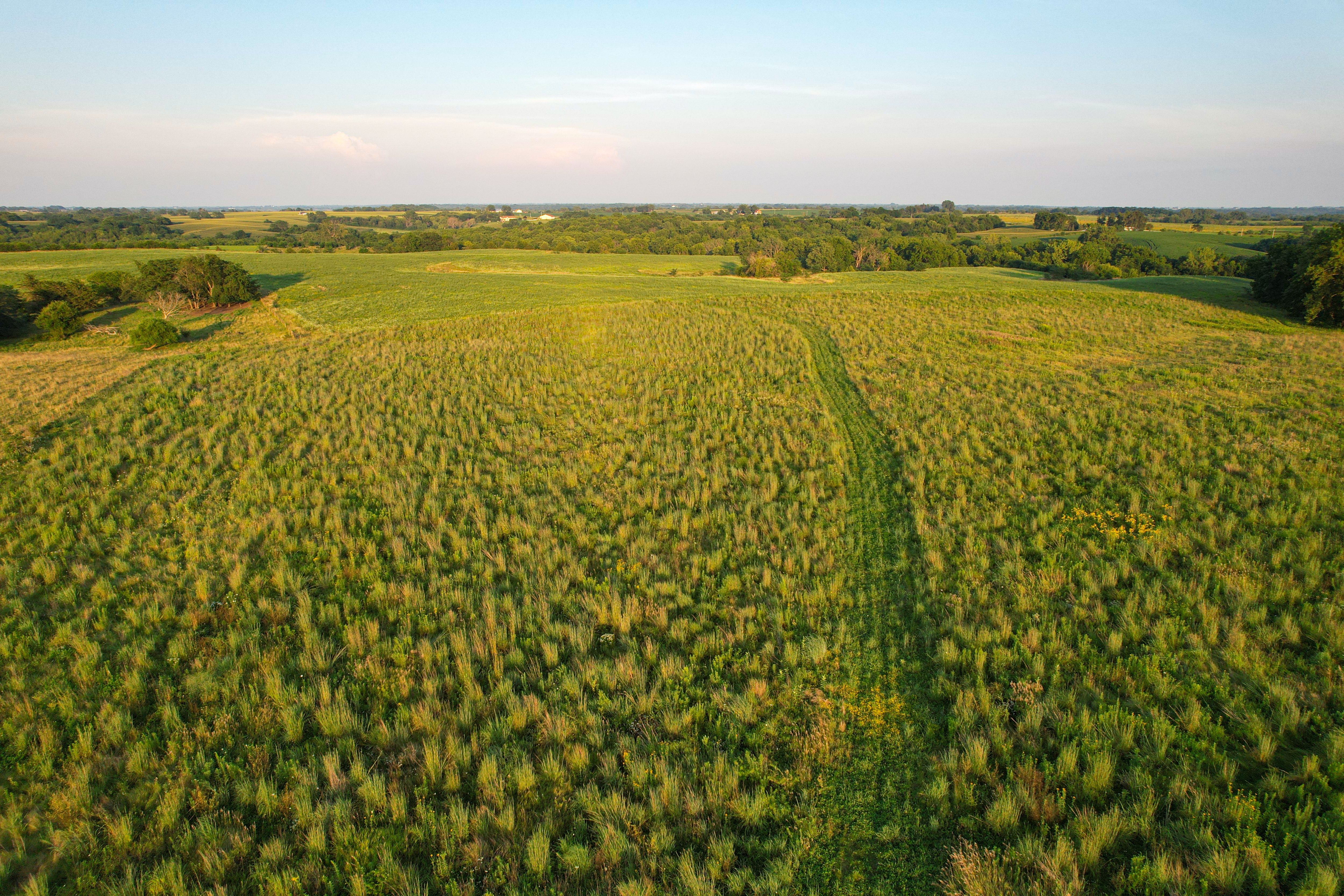 Listing Photo: DJI_0677