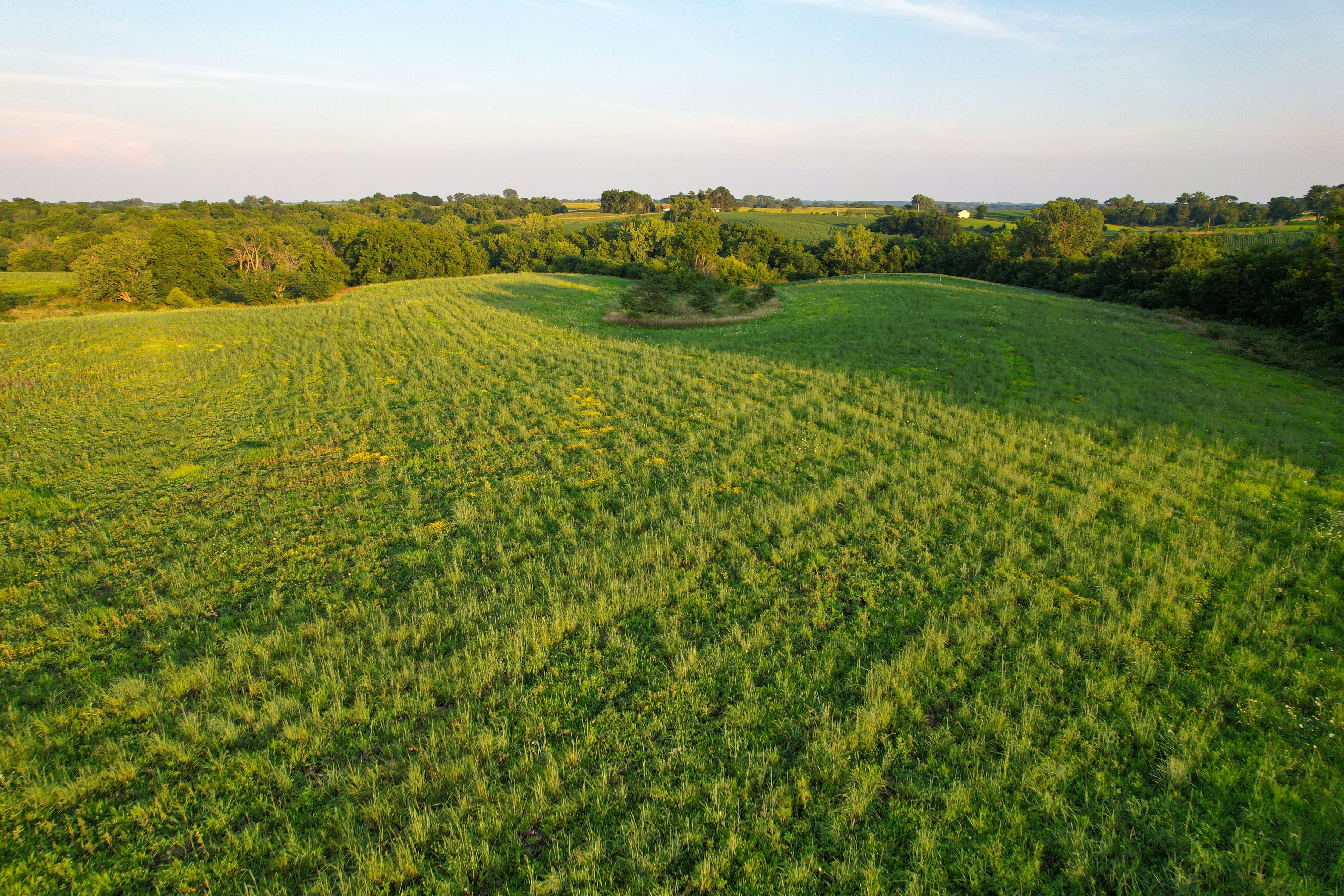 Listing Photo: DJI_0687