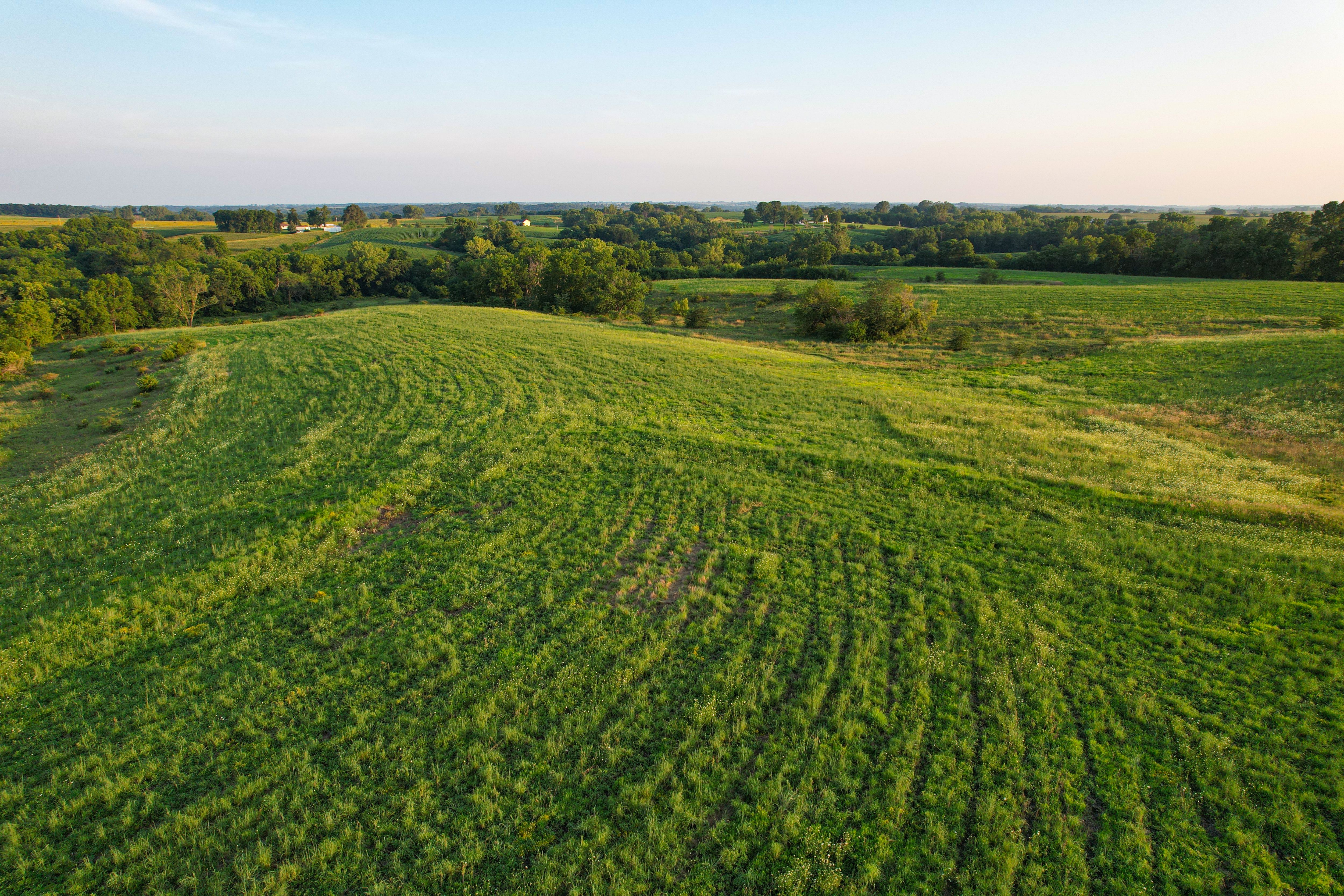 Listing Photo: DJI_0692