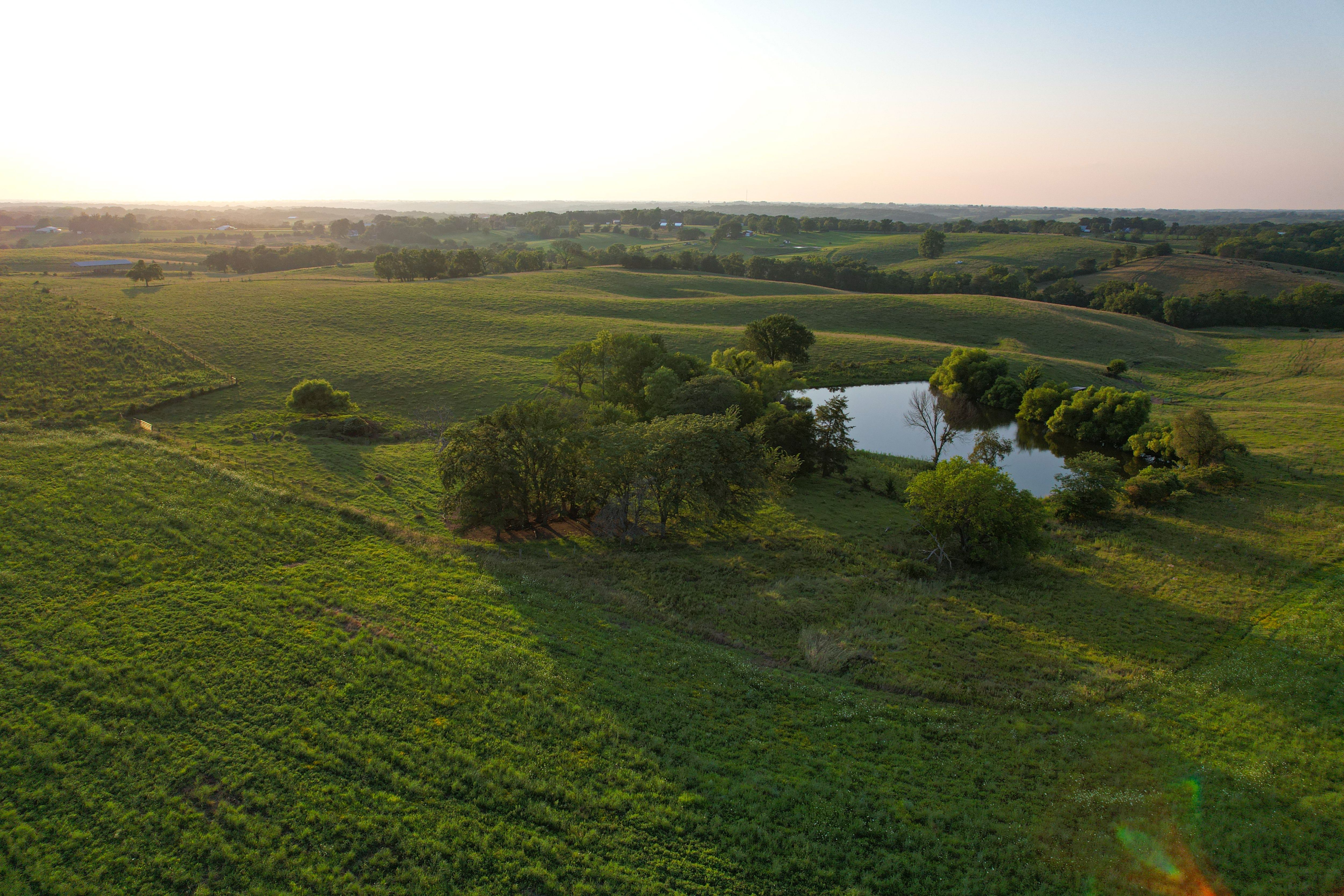Listing Photo: DJI_0696