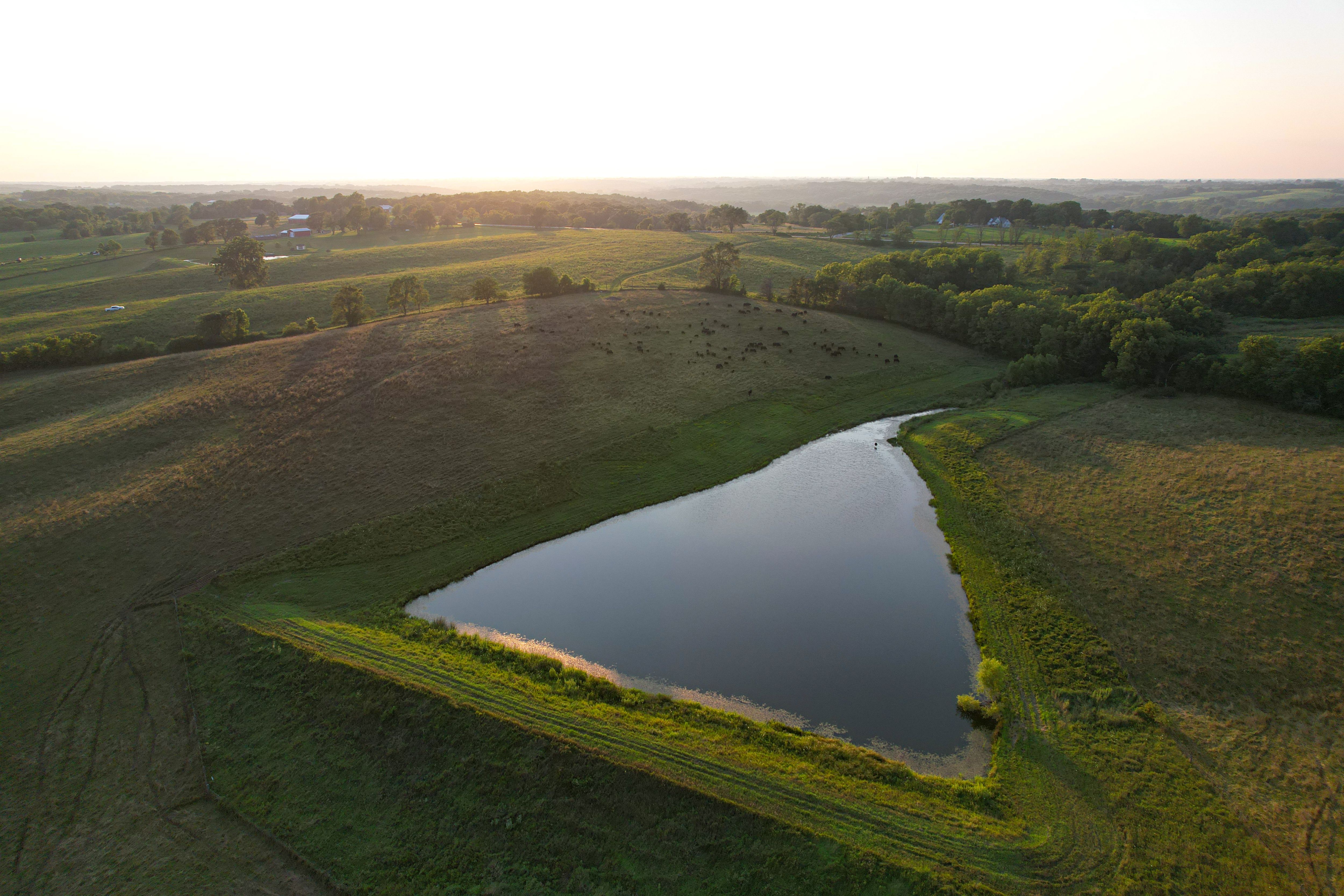 Listing Photo: DJI_0707