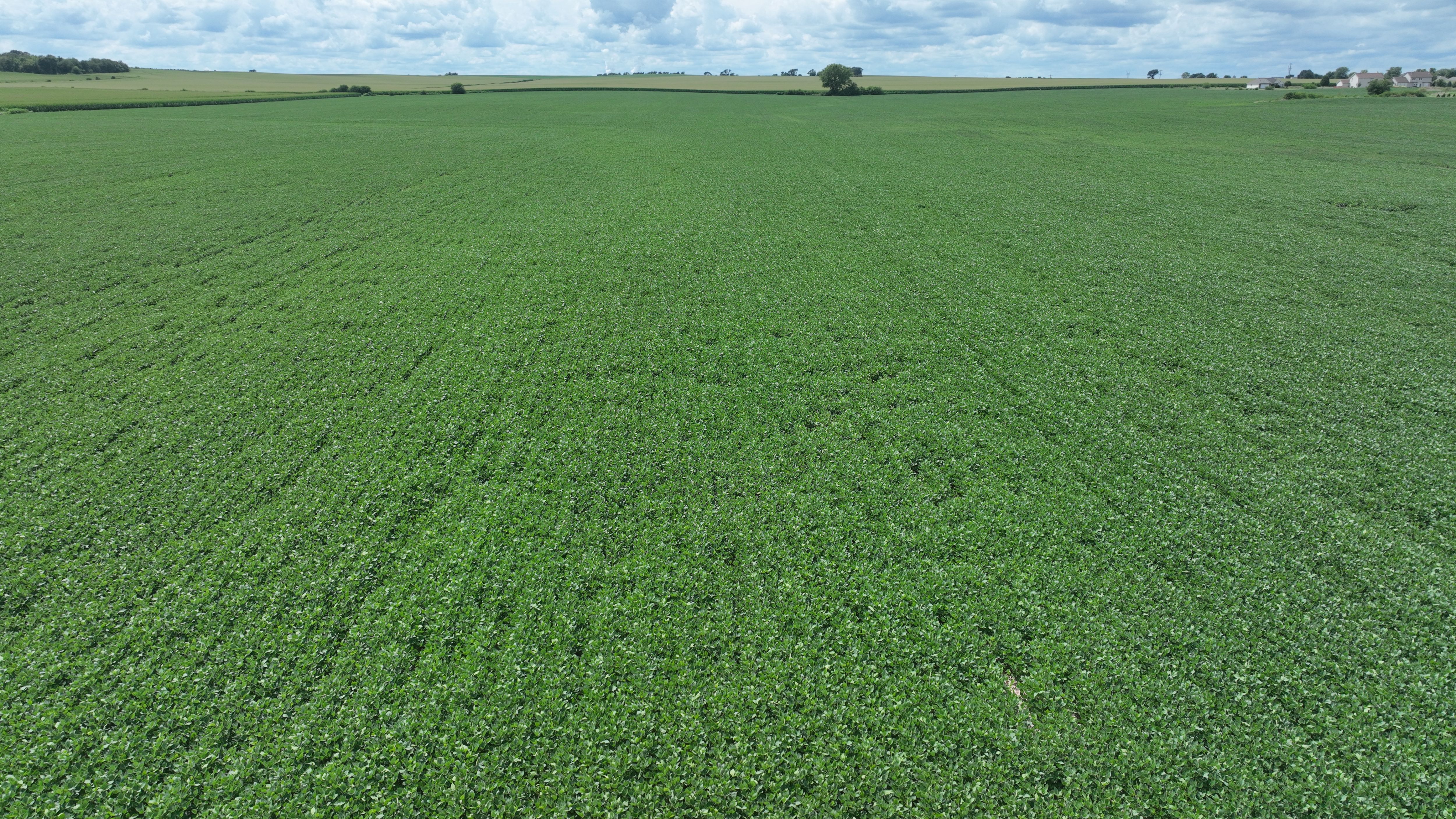 Listing Photo: Davis Junction aerial looking west, 7.25.25