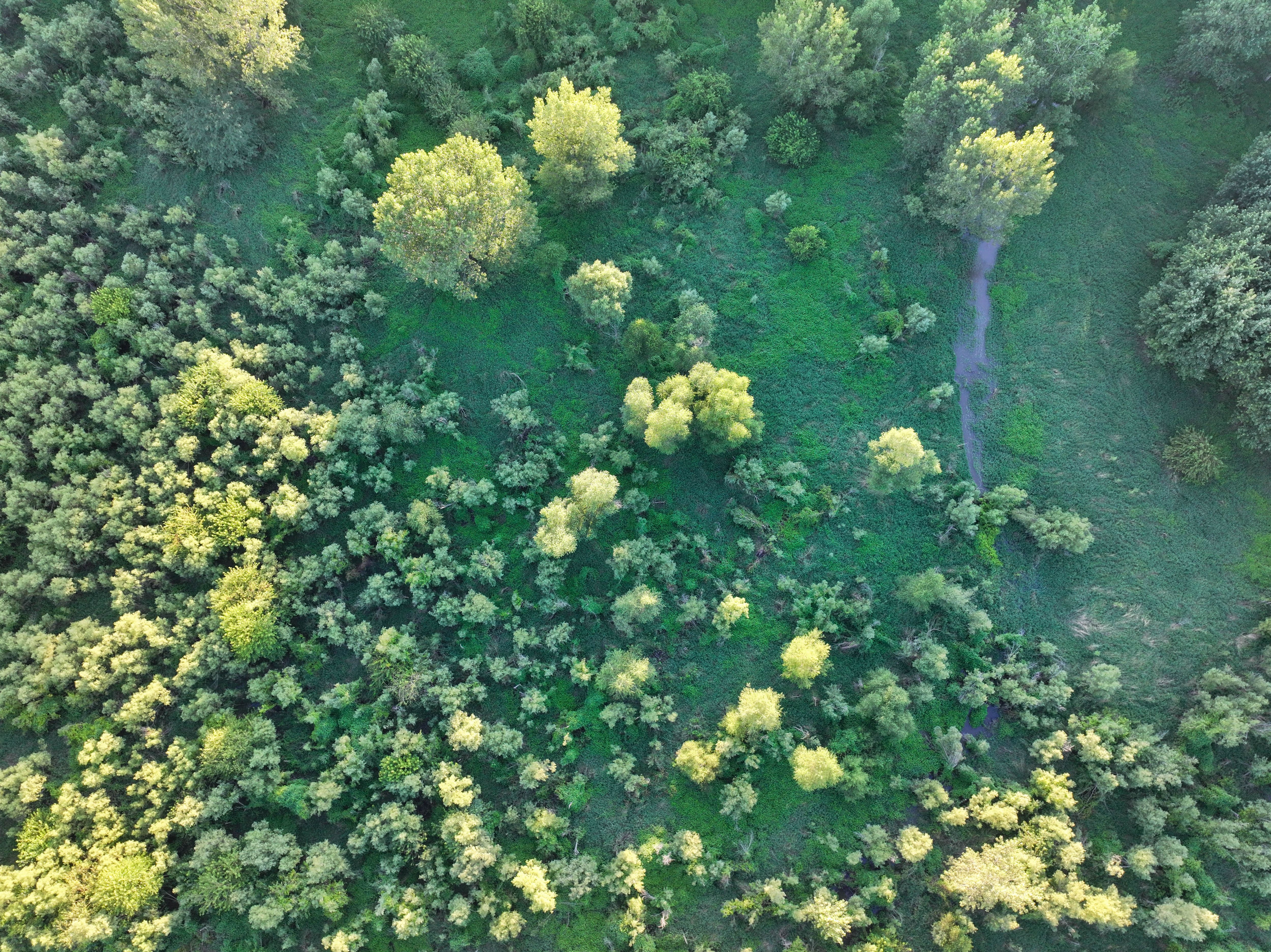 Listing Photo: DJI_20250813191409_0124_D