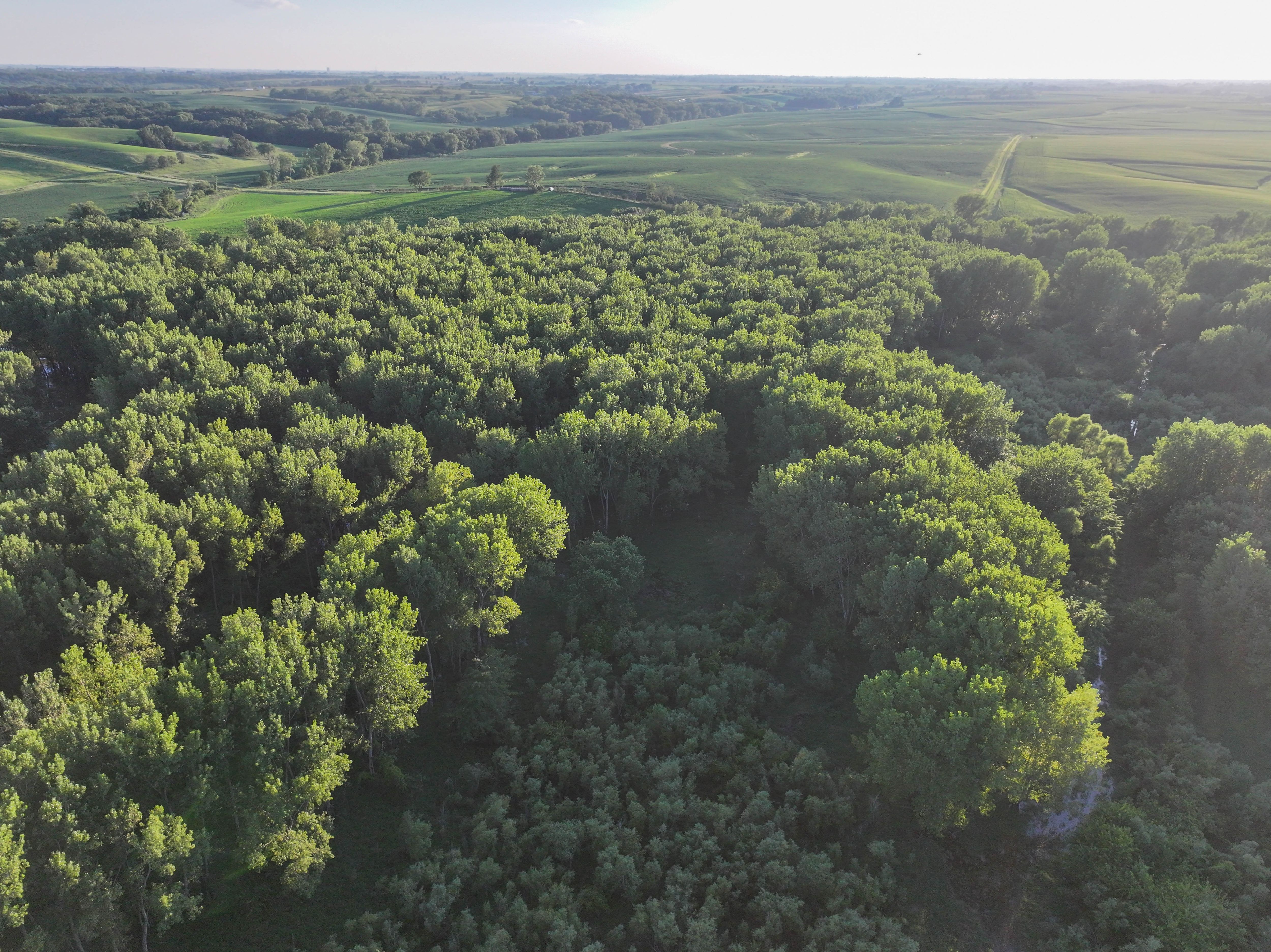 Listing Photo: DJI_20250813191442_0126_D