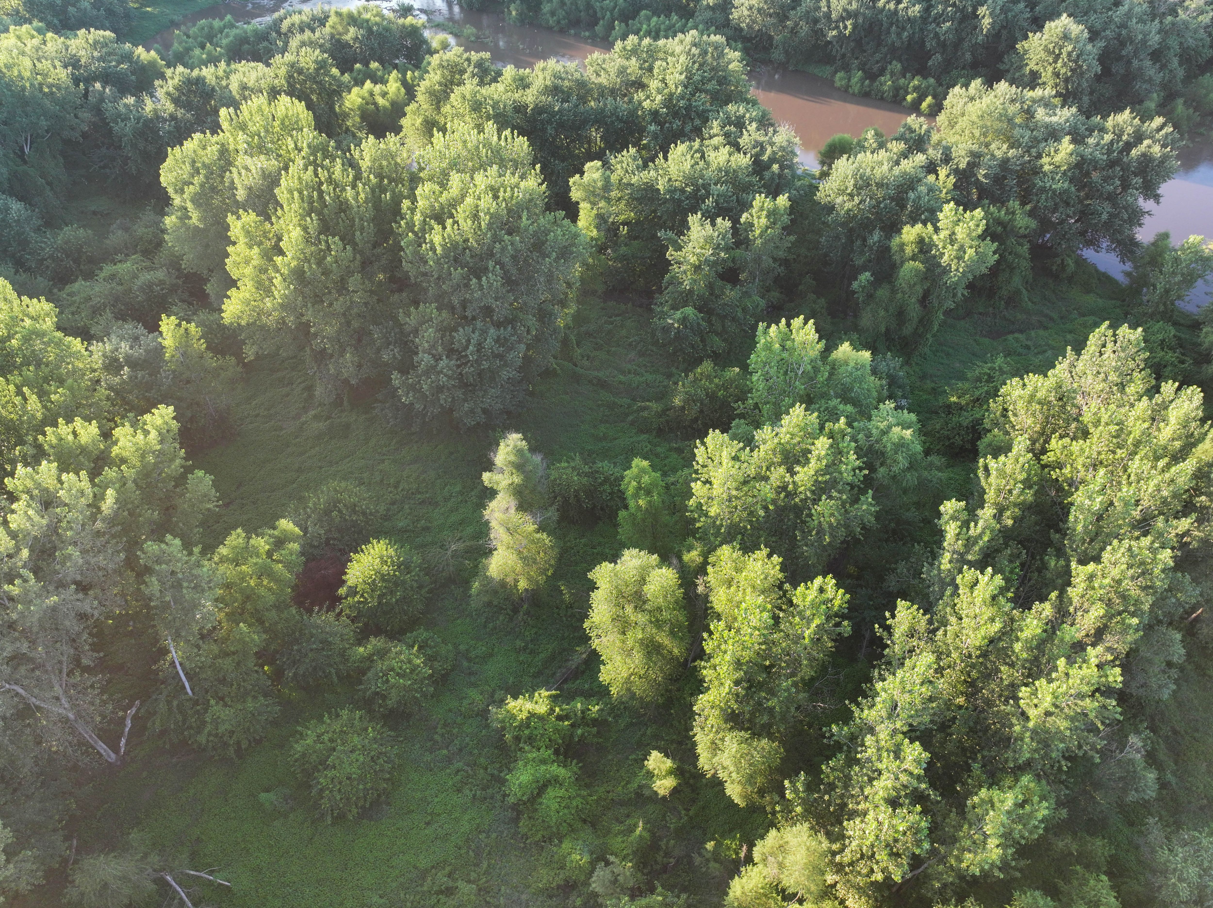Listing Photo: DJI_20250813191536_0131_D