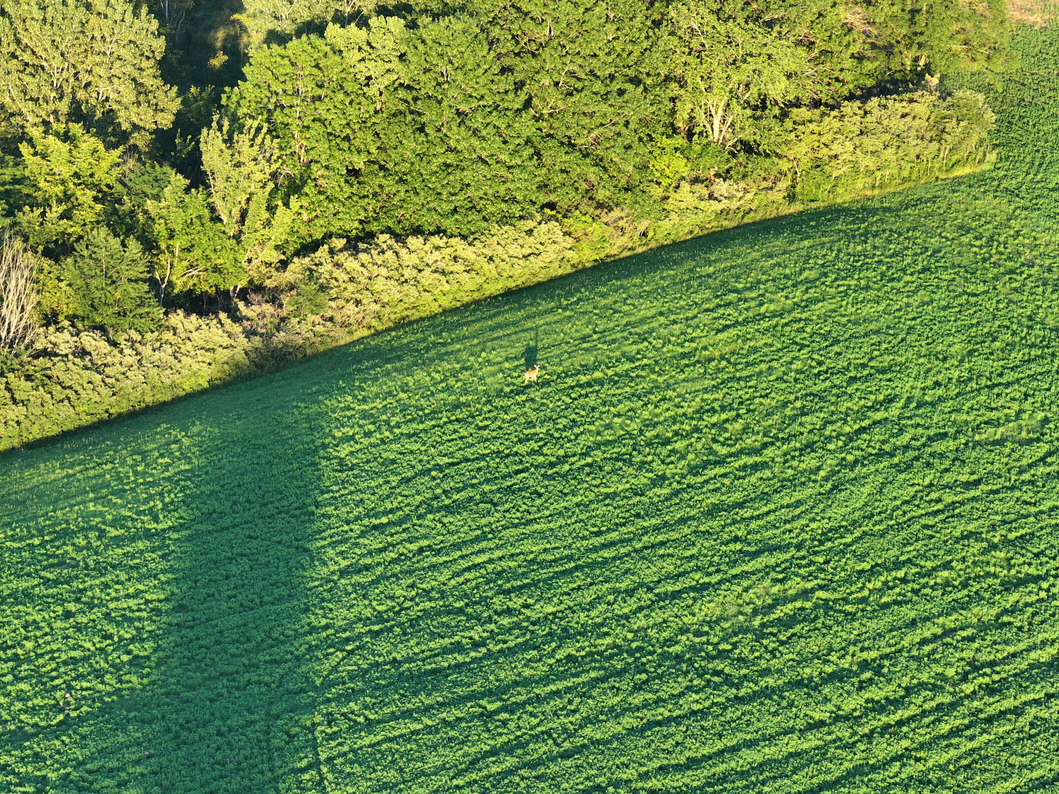 Listing Photo: DJI_20250813192441_0166_D