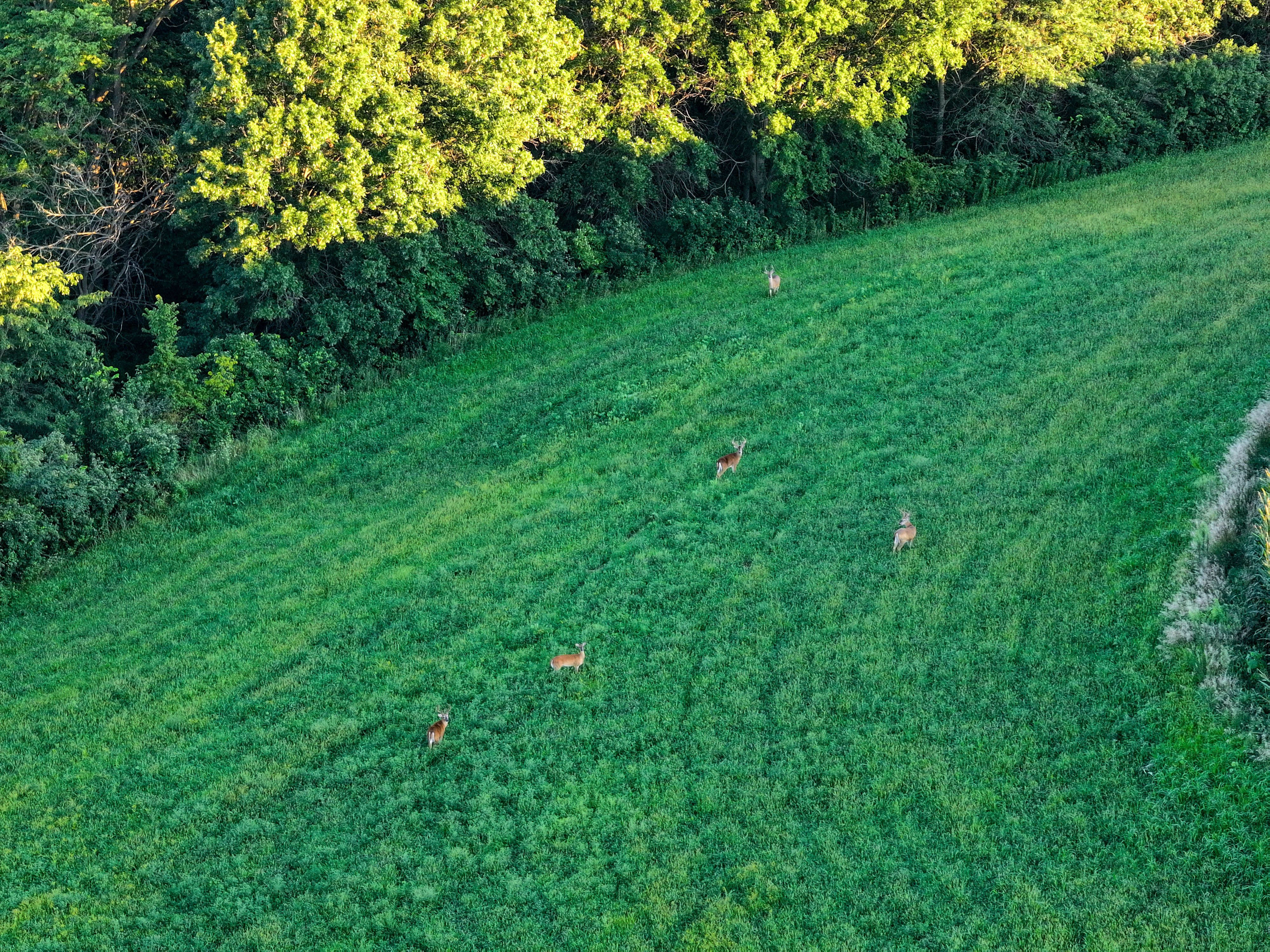 Listing Photo: DJI_20250813192558_0168_D