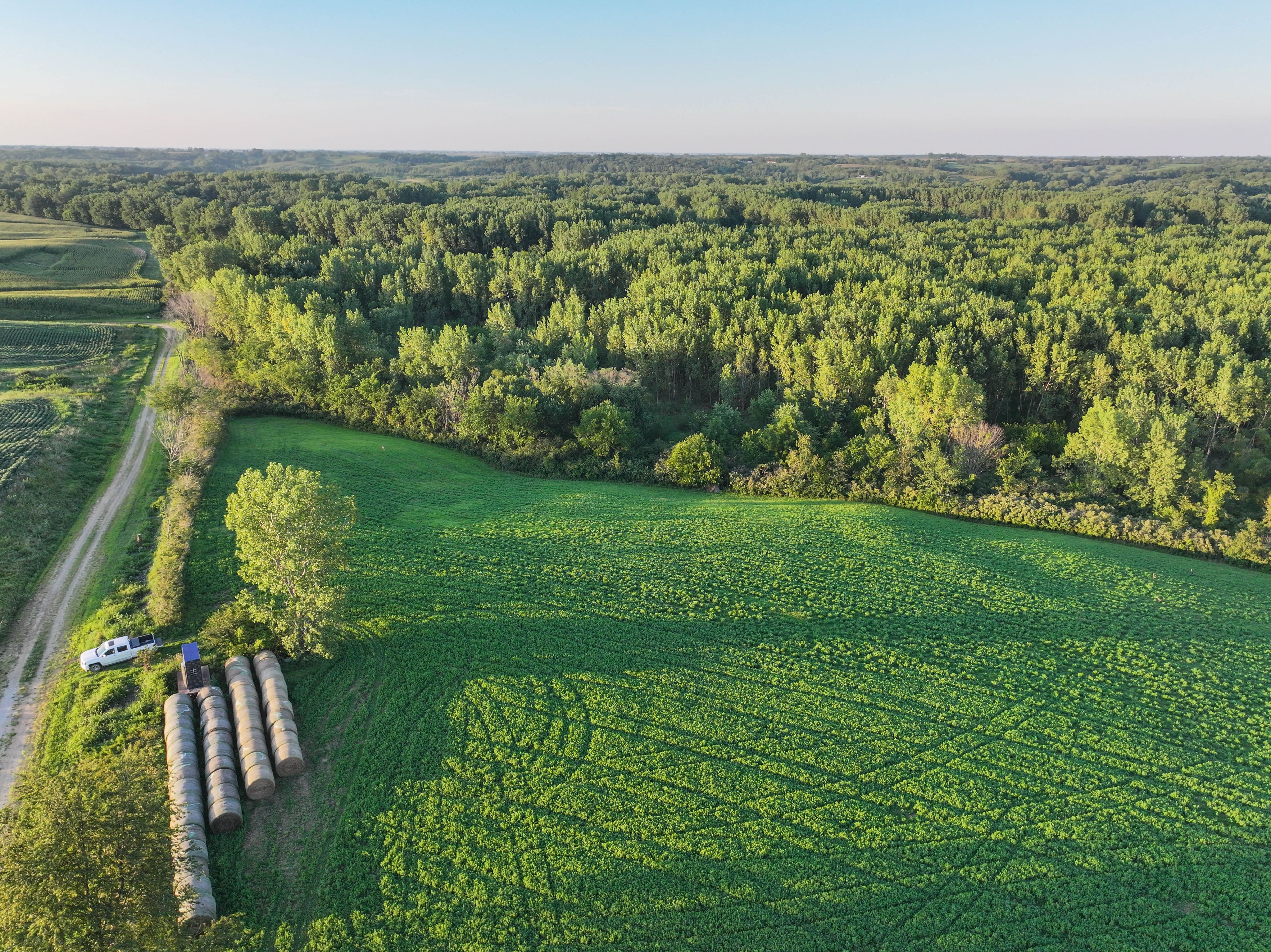 Listing Photo: DJI_20250813192857_0180_D