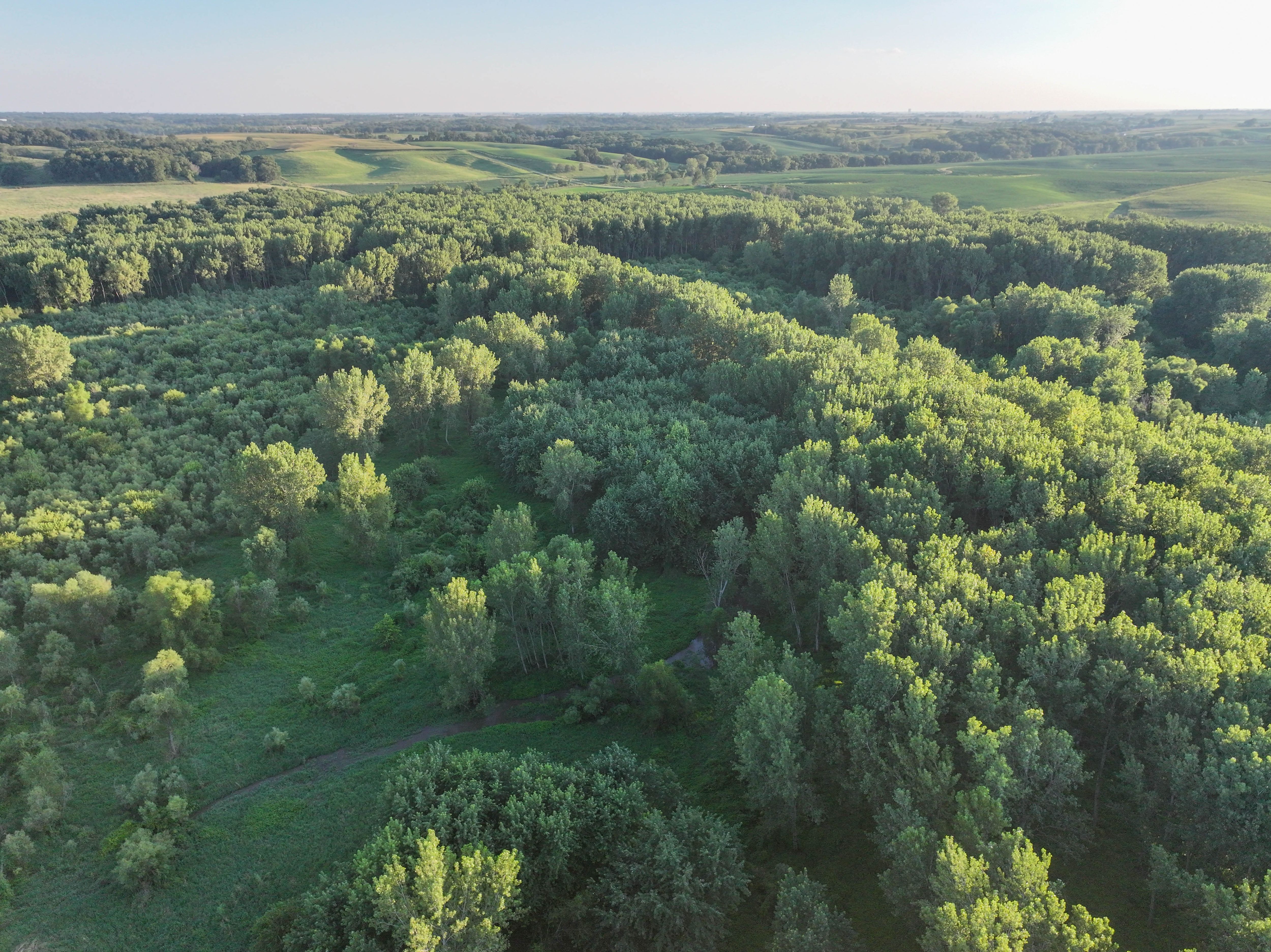 Listing Photo: DJI_20250813192049_0151_D