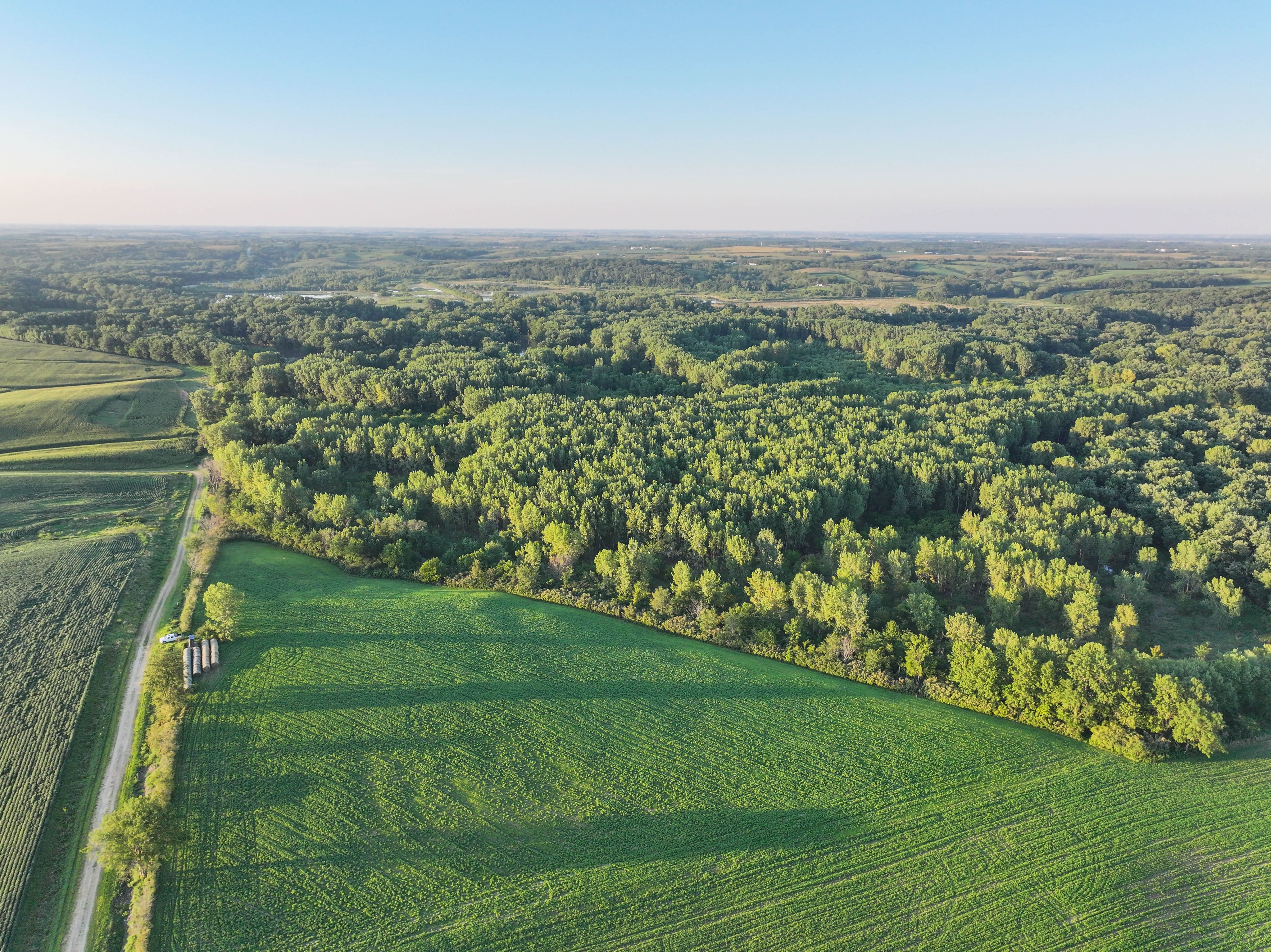 Listing Photo: DJI_20250813192843_0178_D