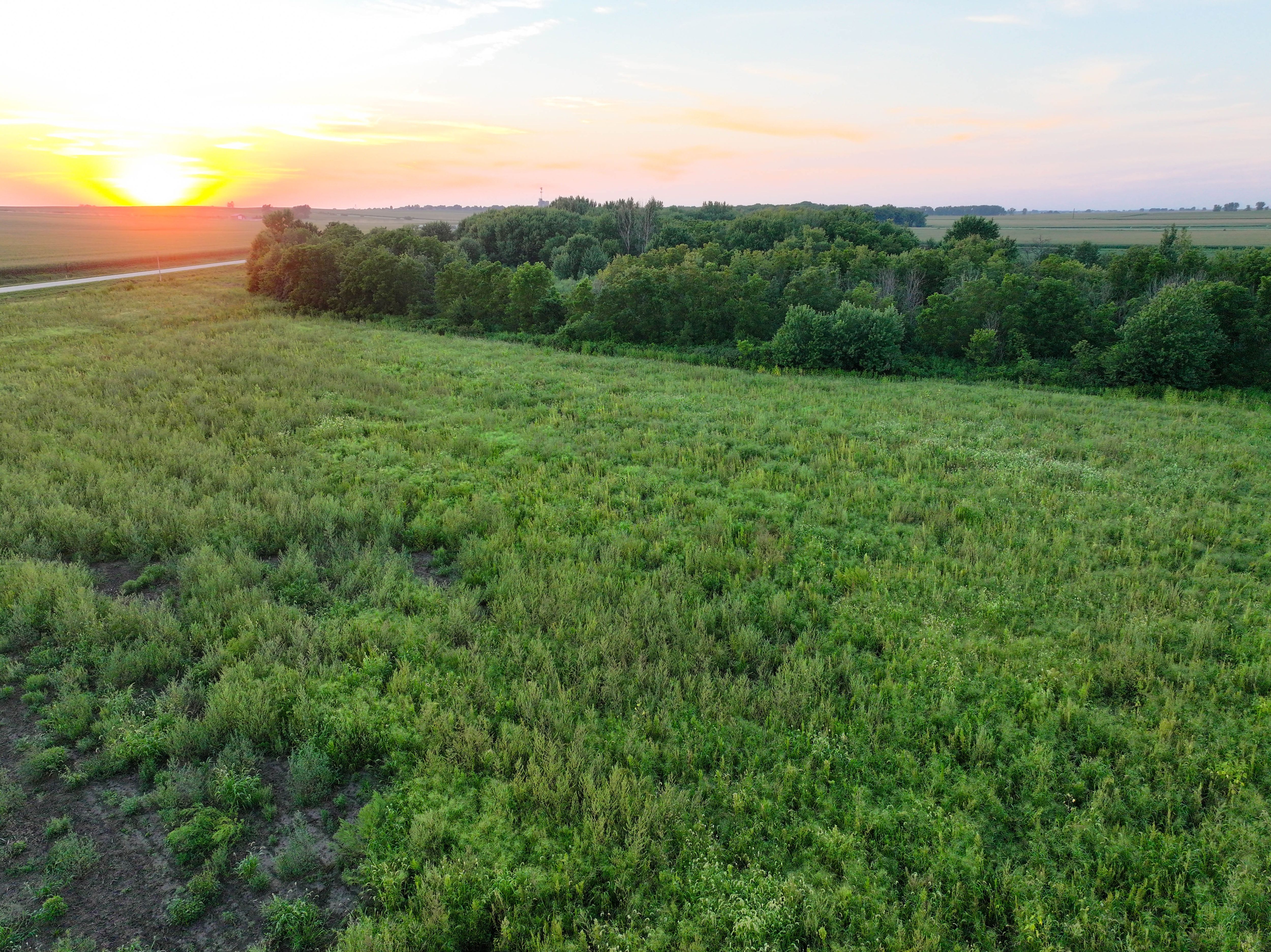 Listing Photo: DJI_20250813200136_0067_D