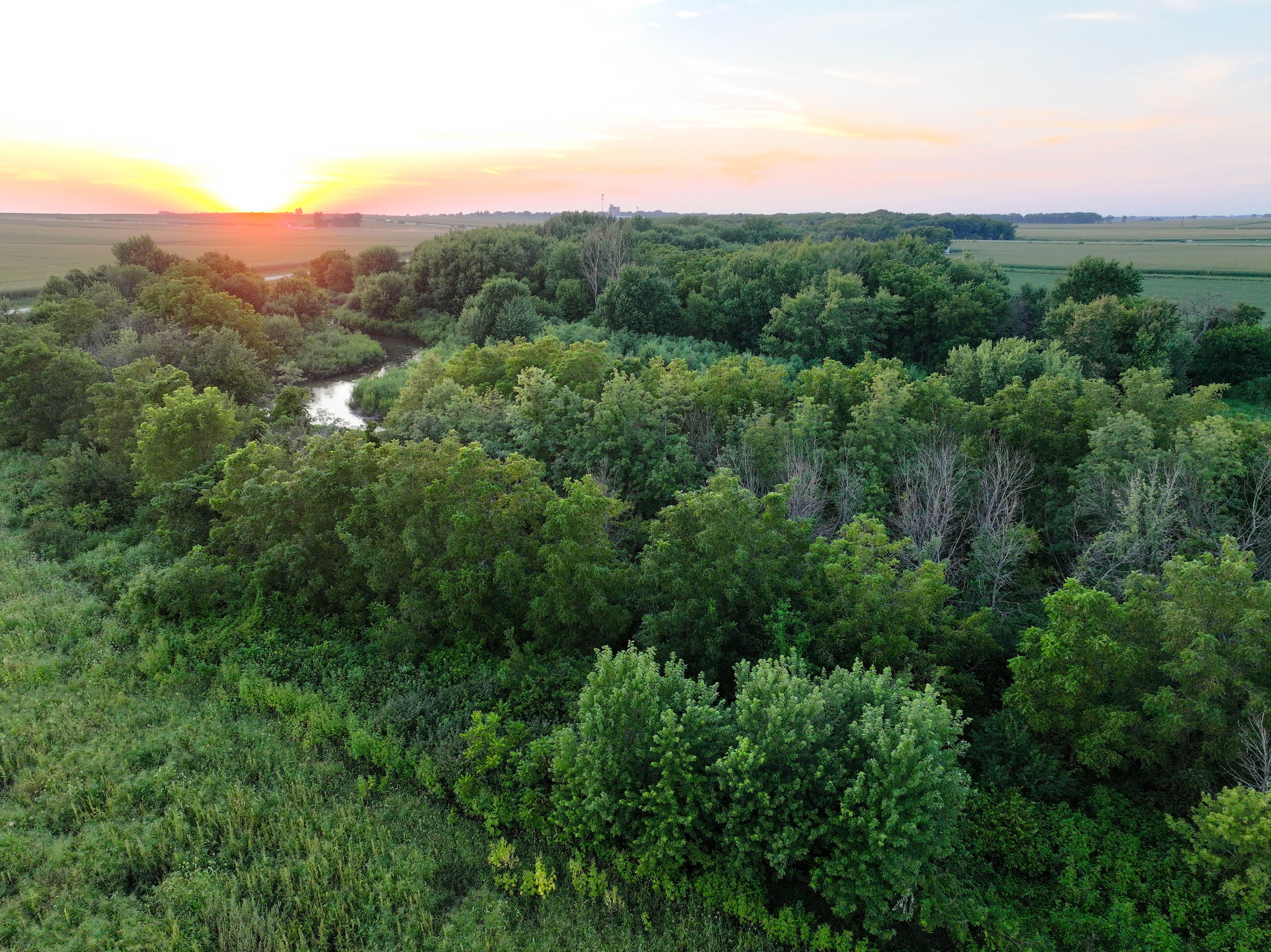 Listing Photo: DJI_20250813200156_0069_D