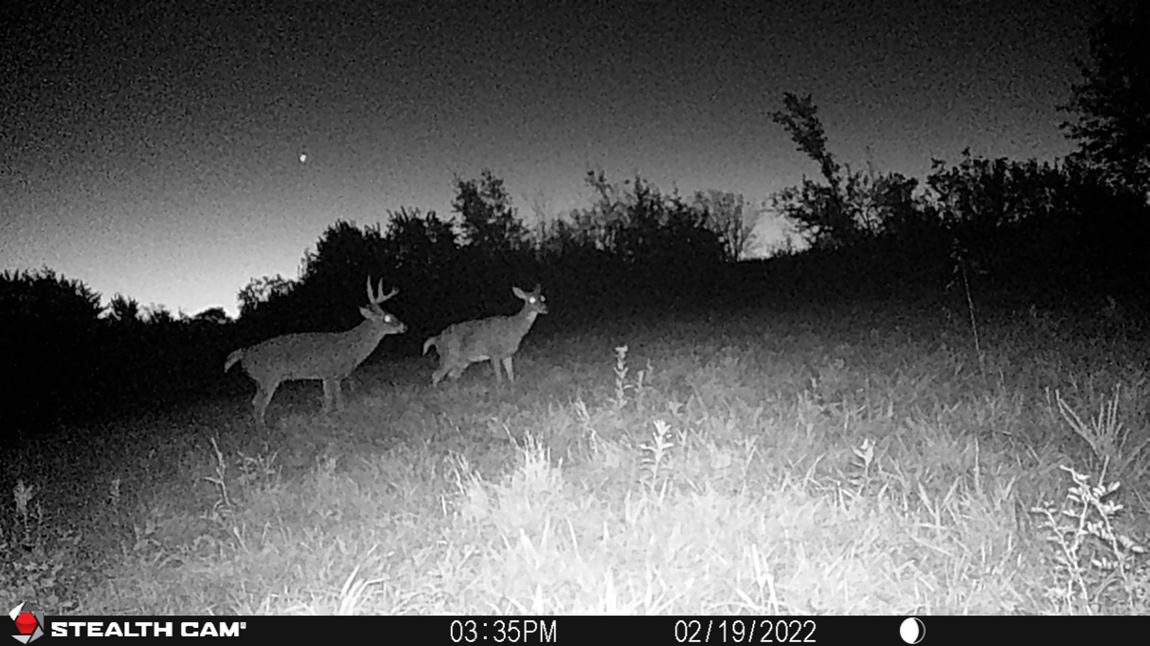 Listing Photo: STC_0390