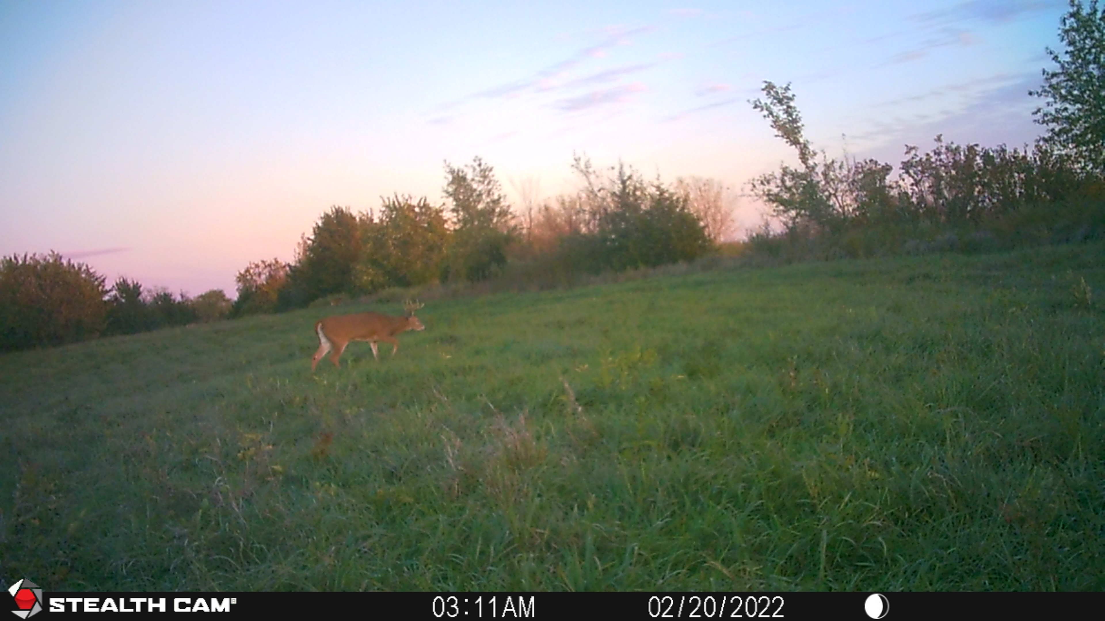 Listing Photo: STC_0405