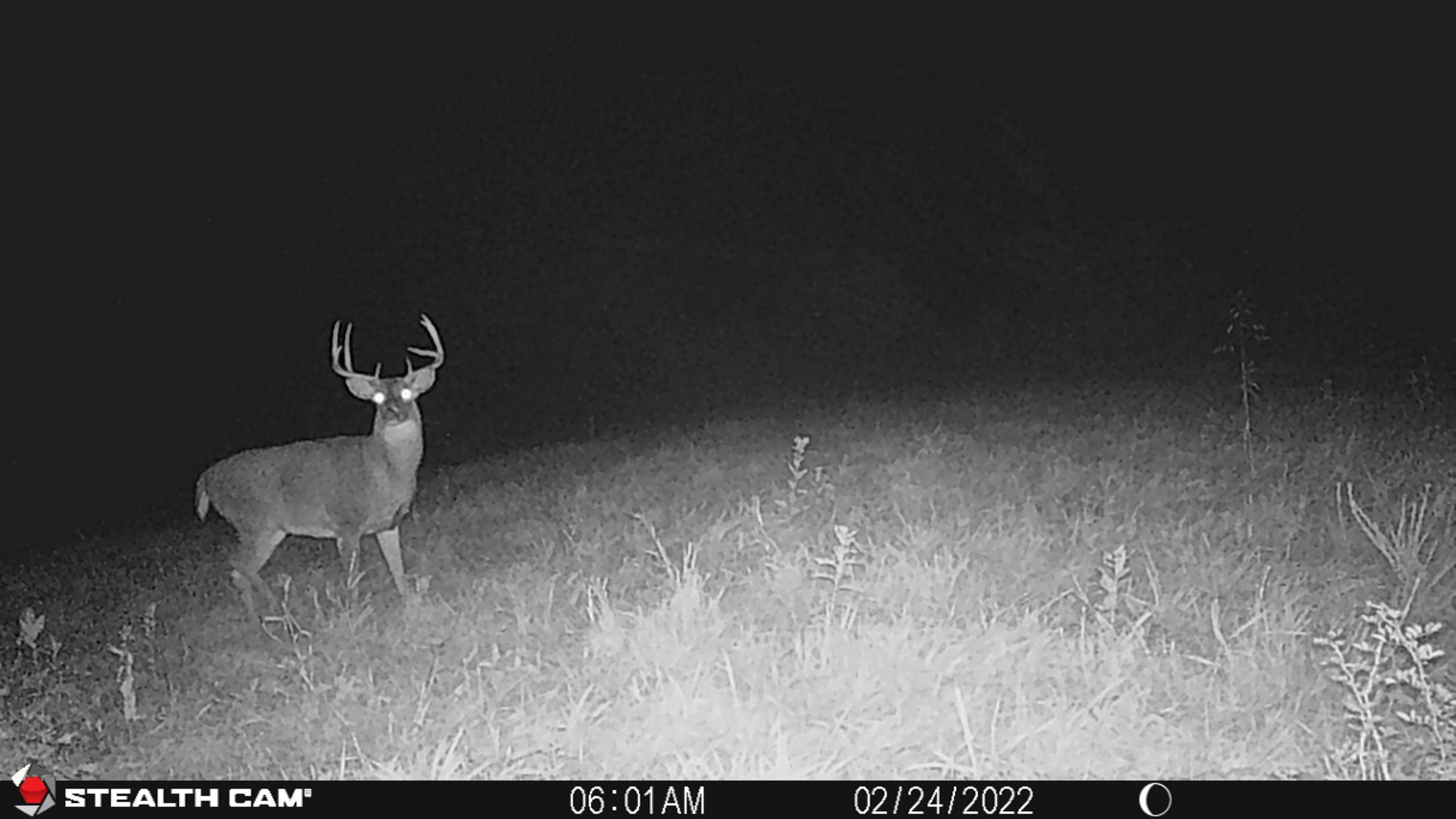 Listing Photo: STC_0450