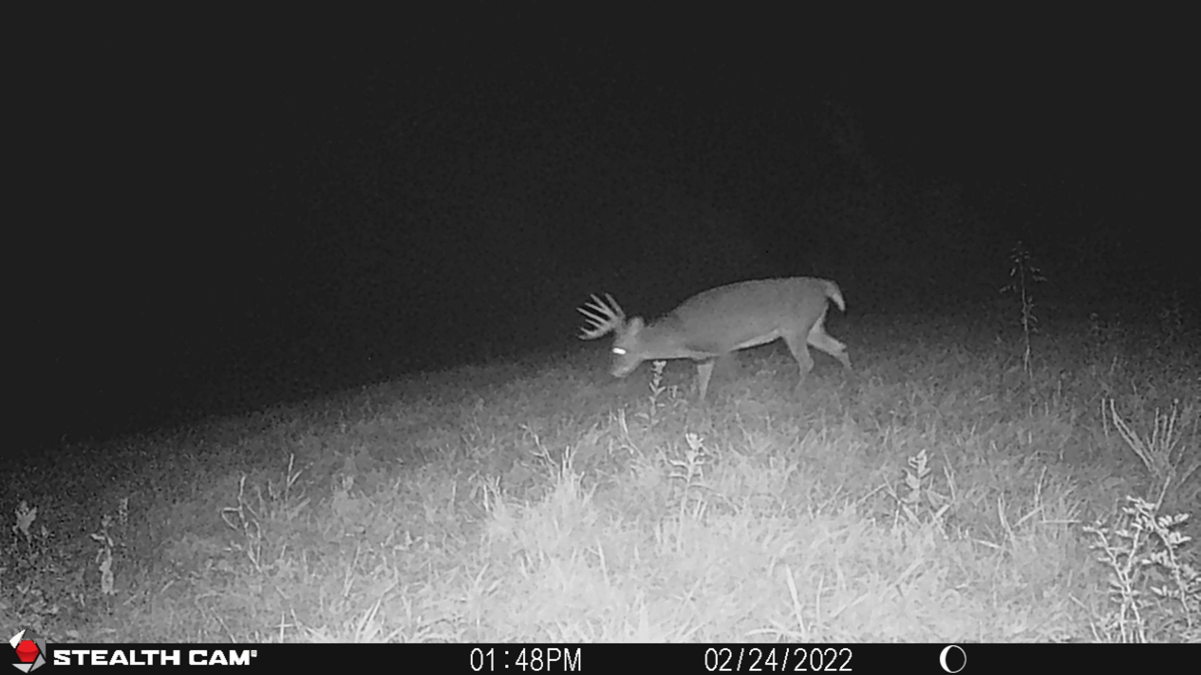 Listing Photo: STC_0467