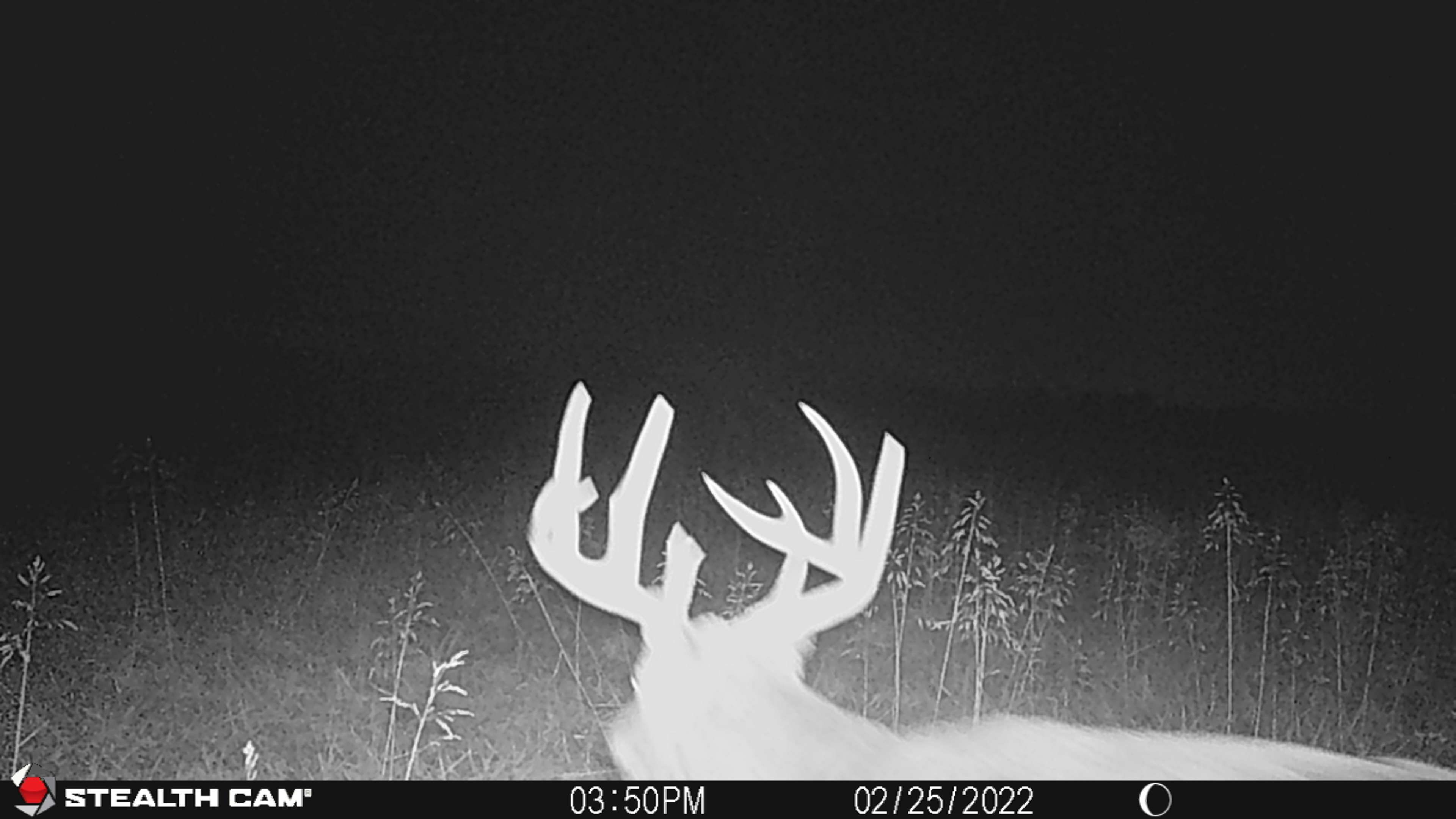 Listing Photo: STC_0853