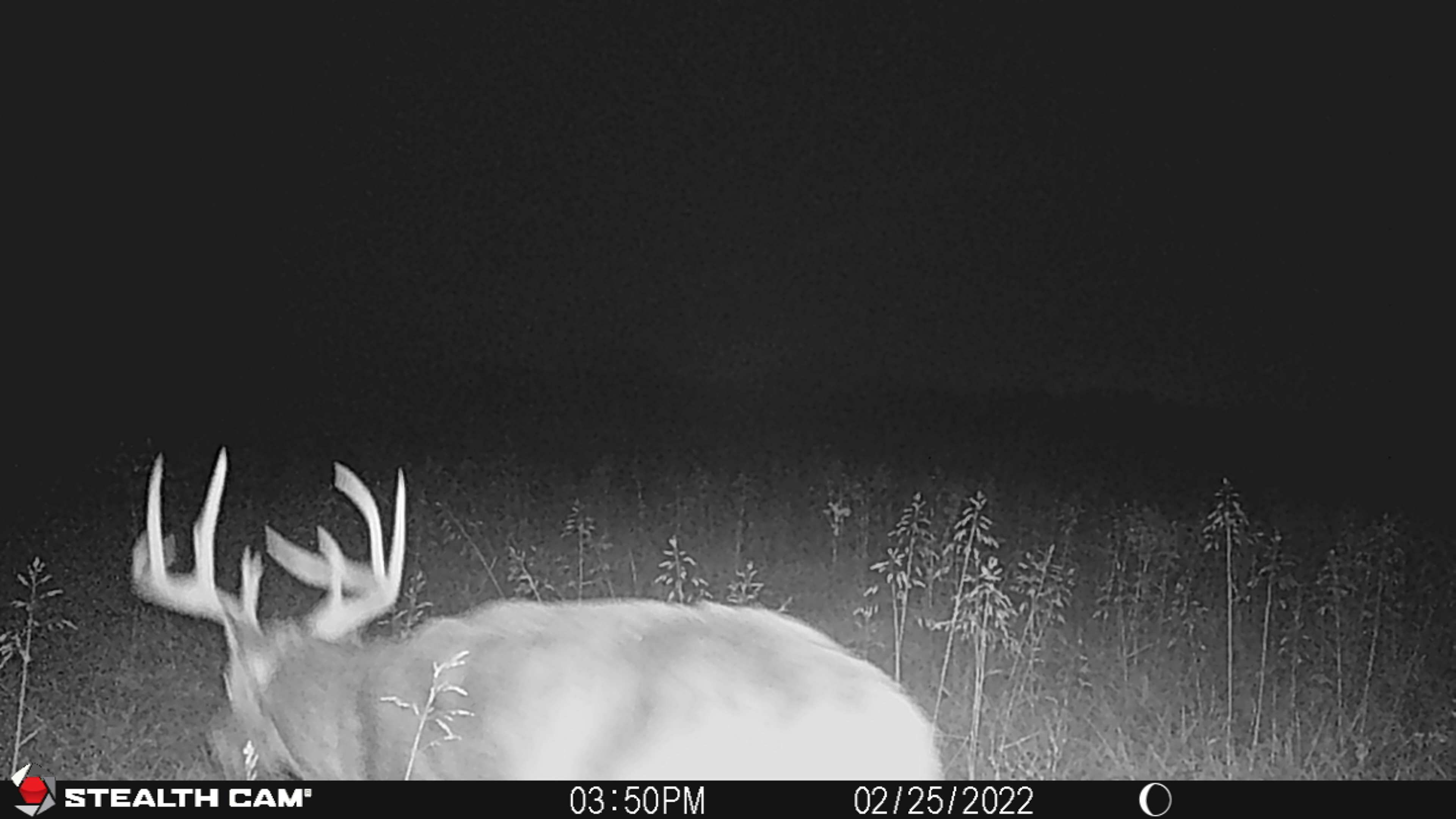 Listing Photo: STC_0854