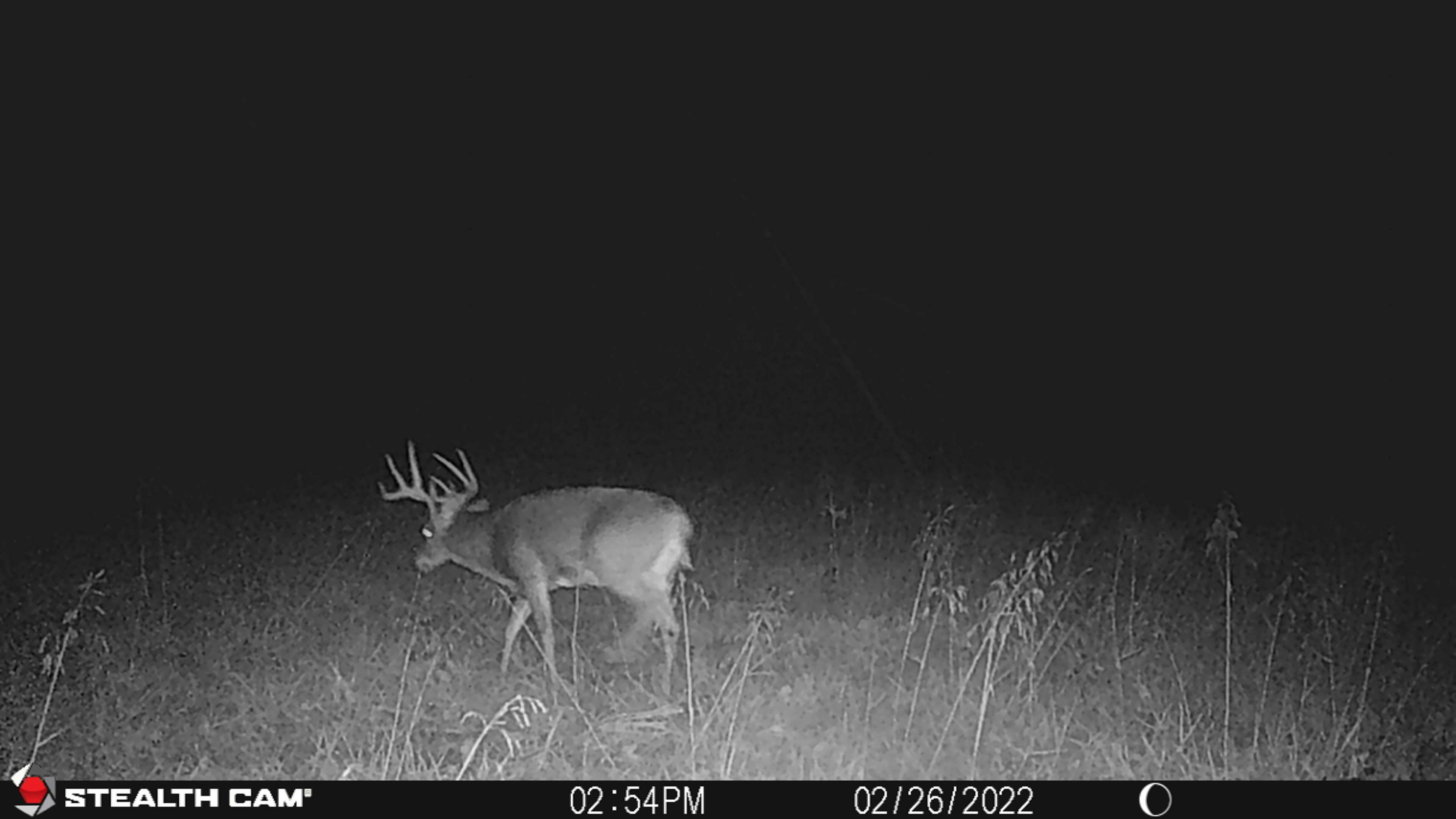 Listing Photo: STC_1055