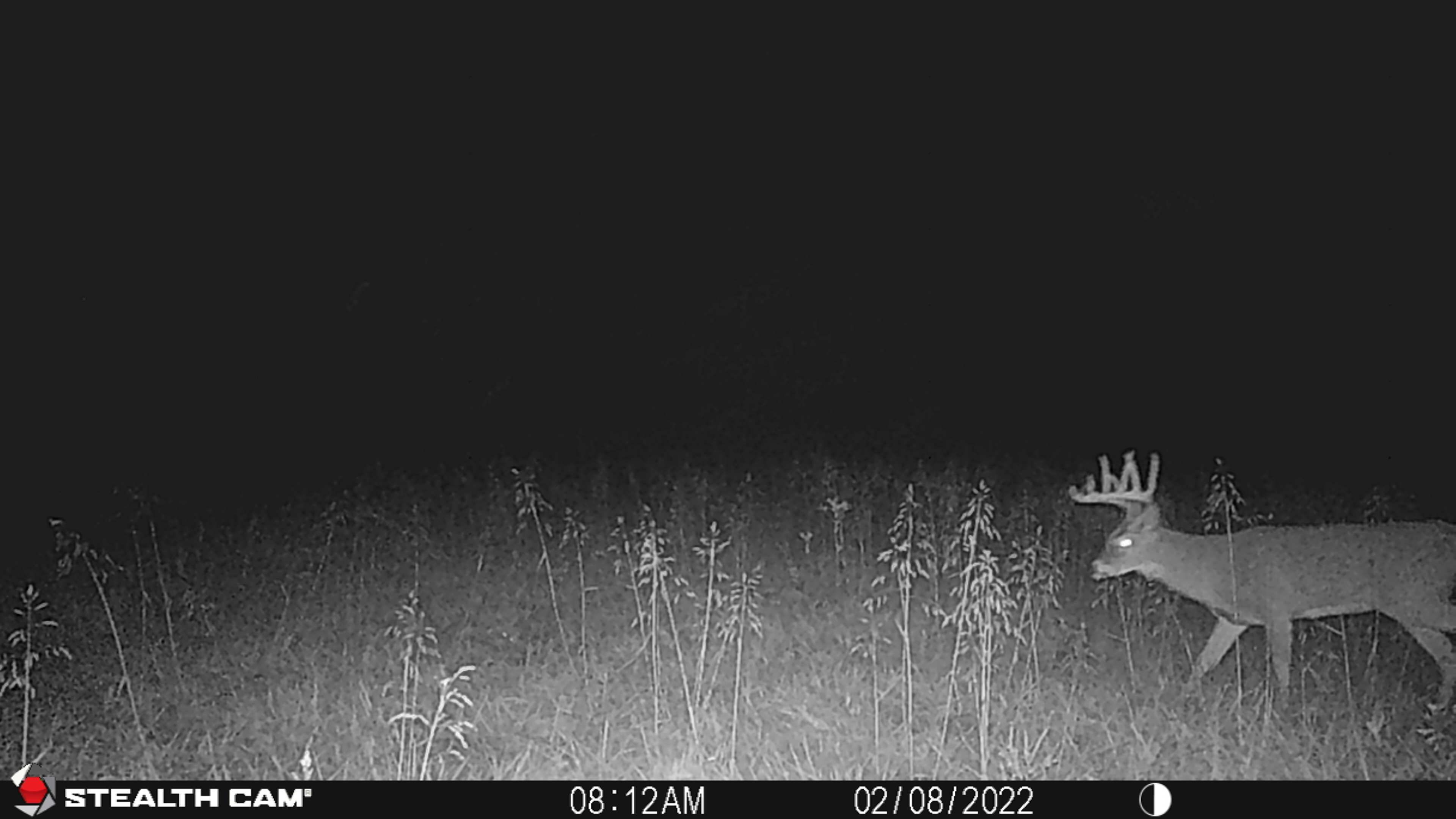 Listing Photo: patty1