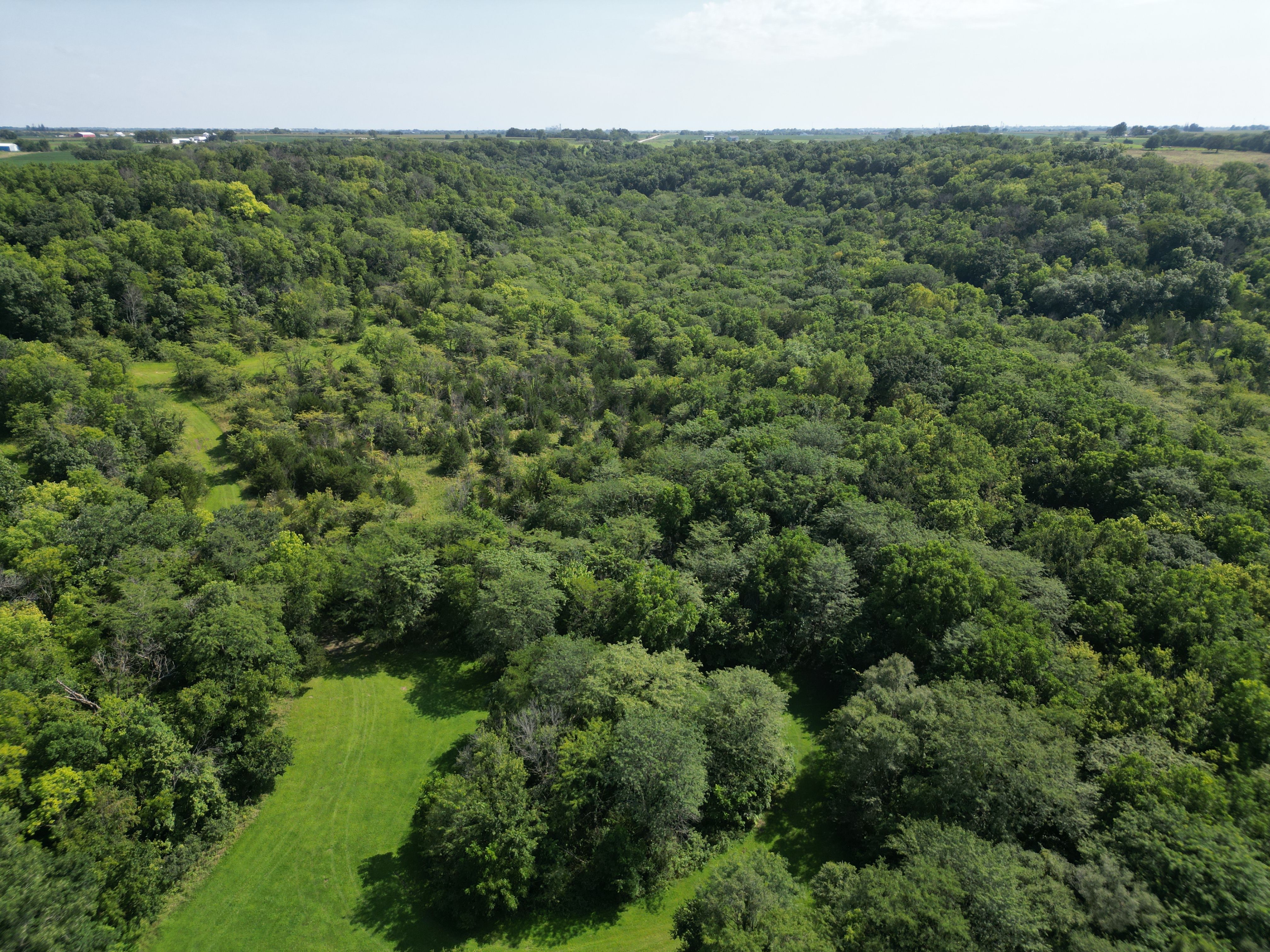 Listing Photo: DJI_0336