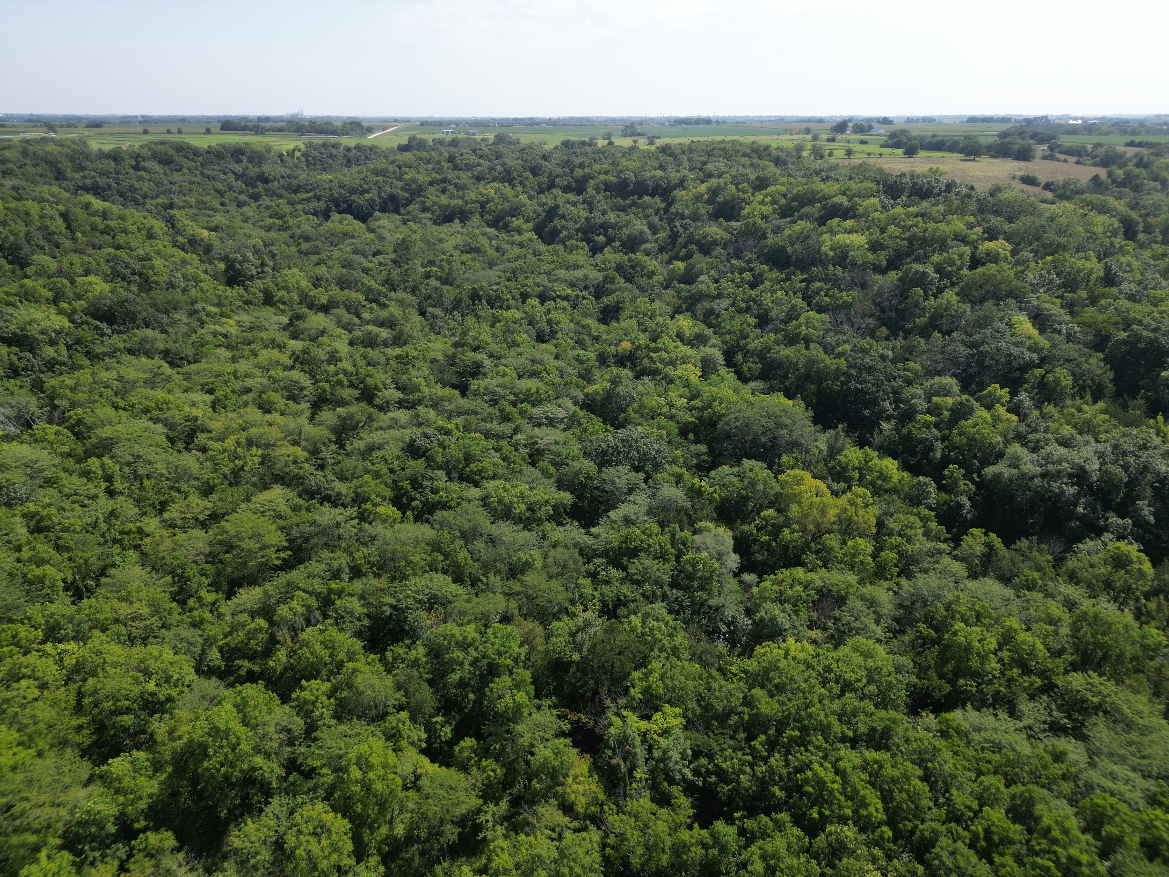 Listing Photo: DJI_0340