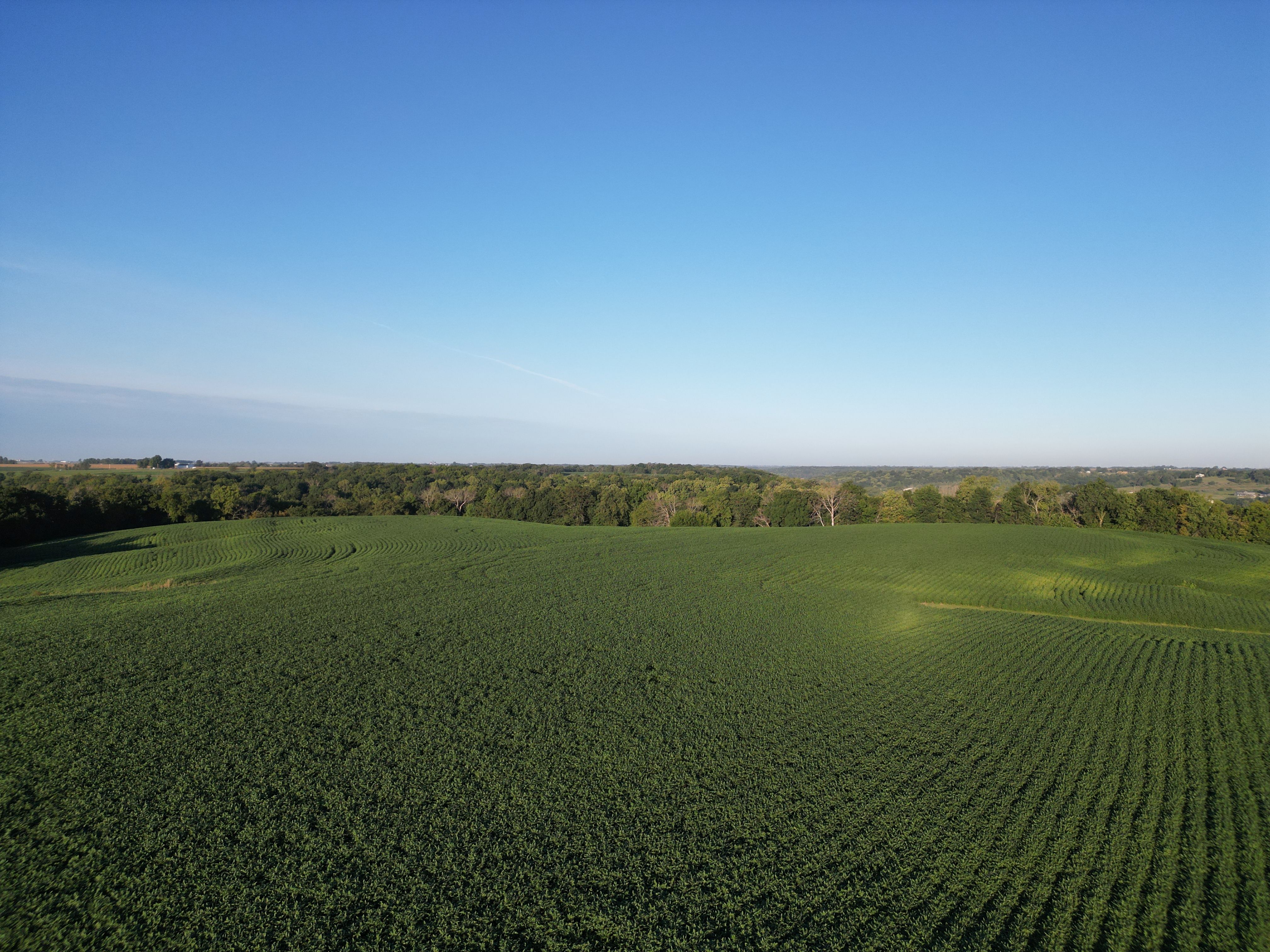 Listing Photo: DJI_0484