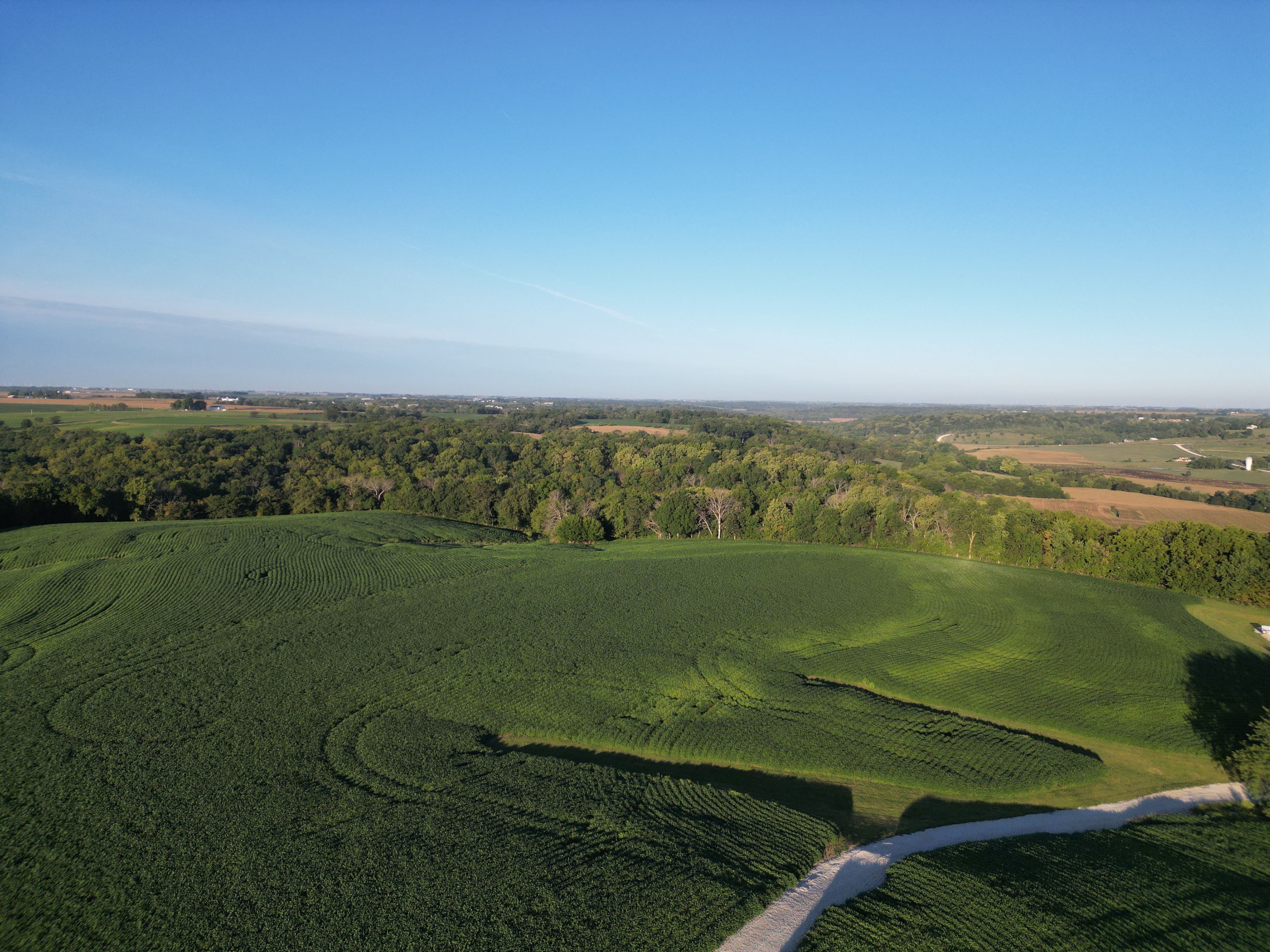 Listing Photo: DJI_0492