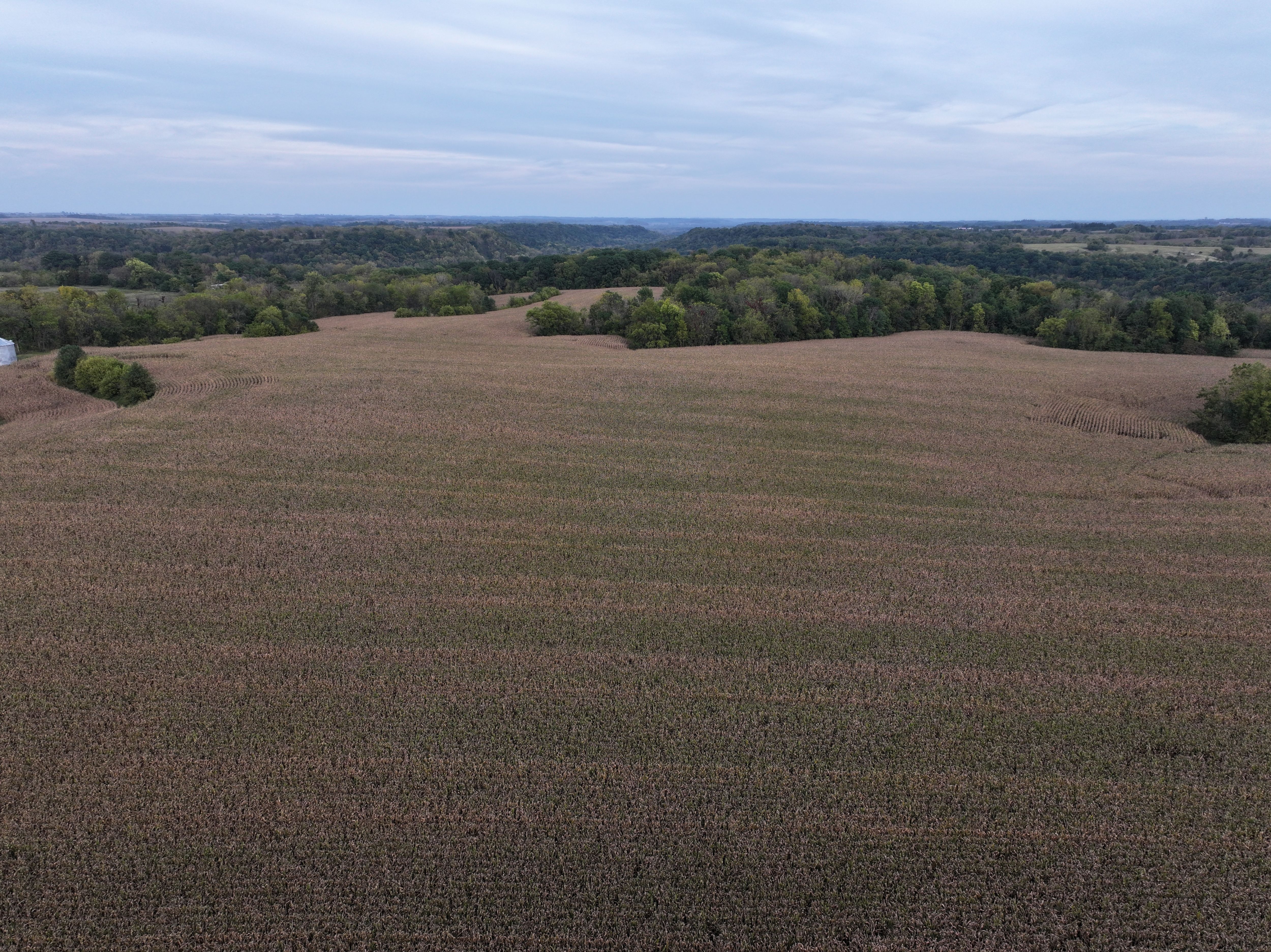 Listing Photo: Fayette-County-Farmland-For-Sale