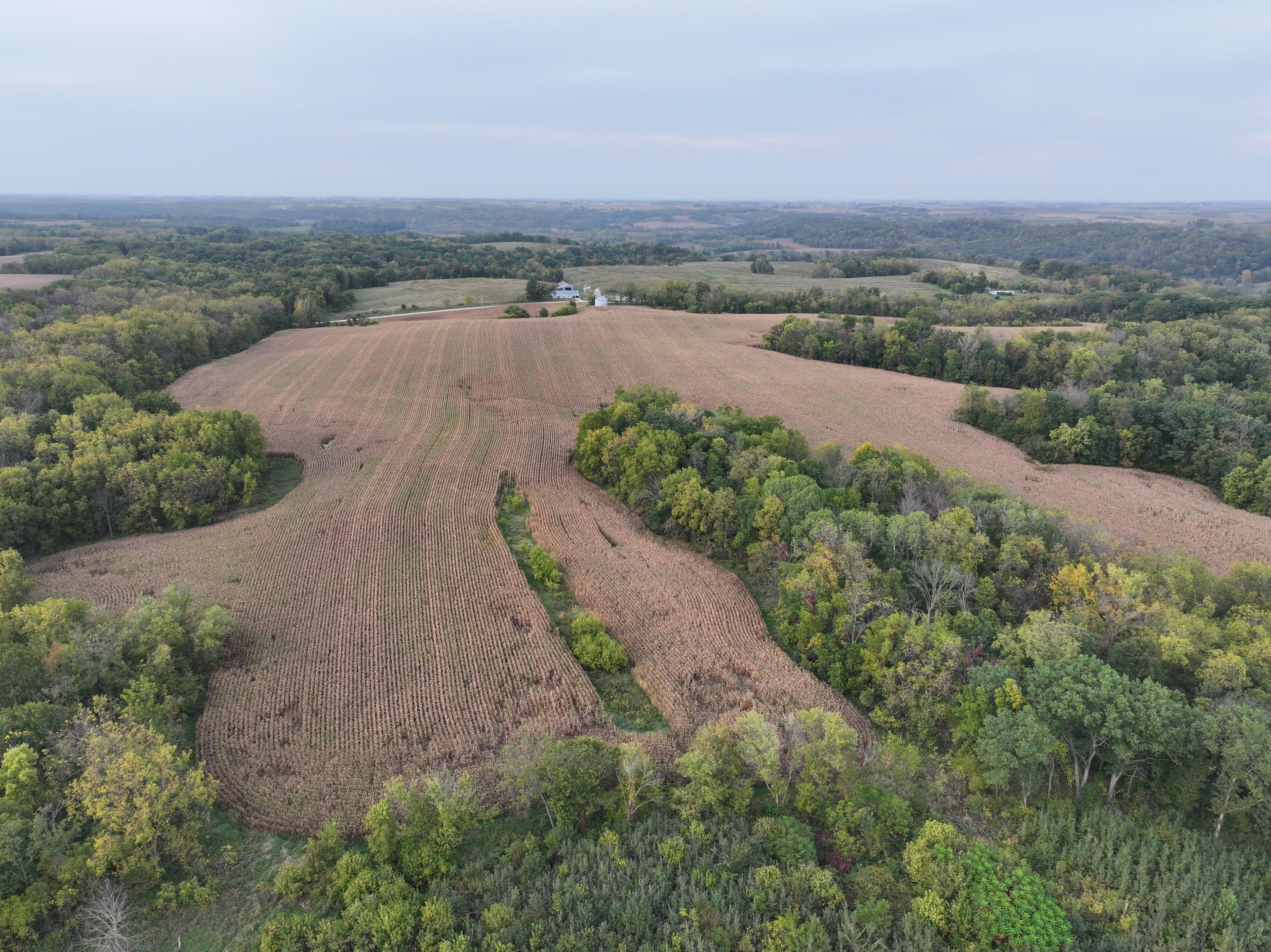 Listing Photo: Iowa-Recreational-Land-Fayette-County
