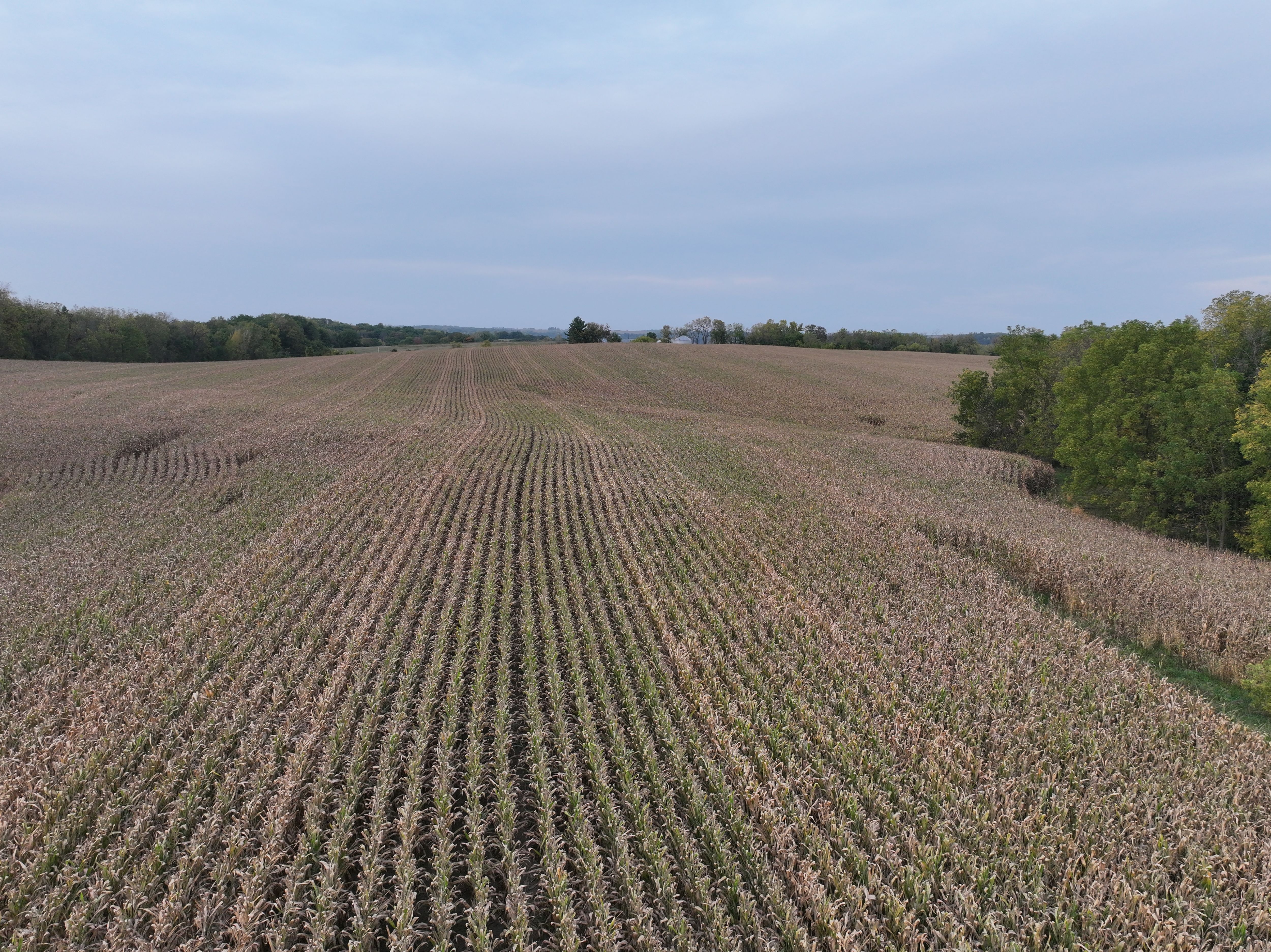 Listing Photo: Fayette-County-Farm-For-Sale