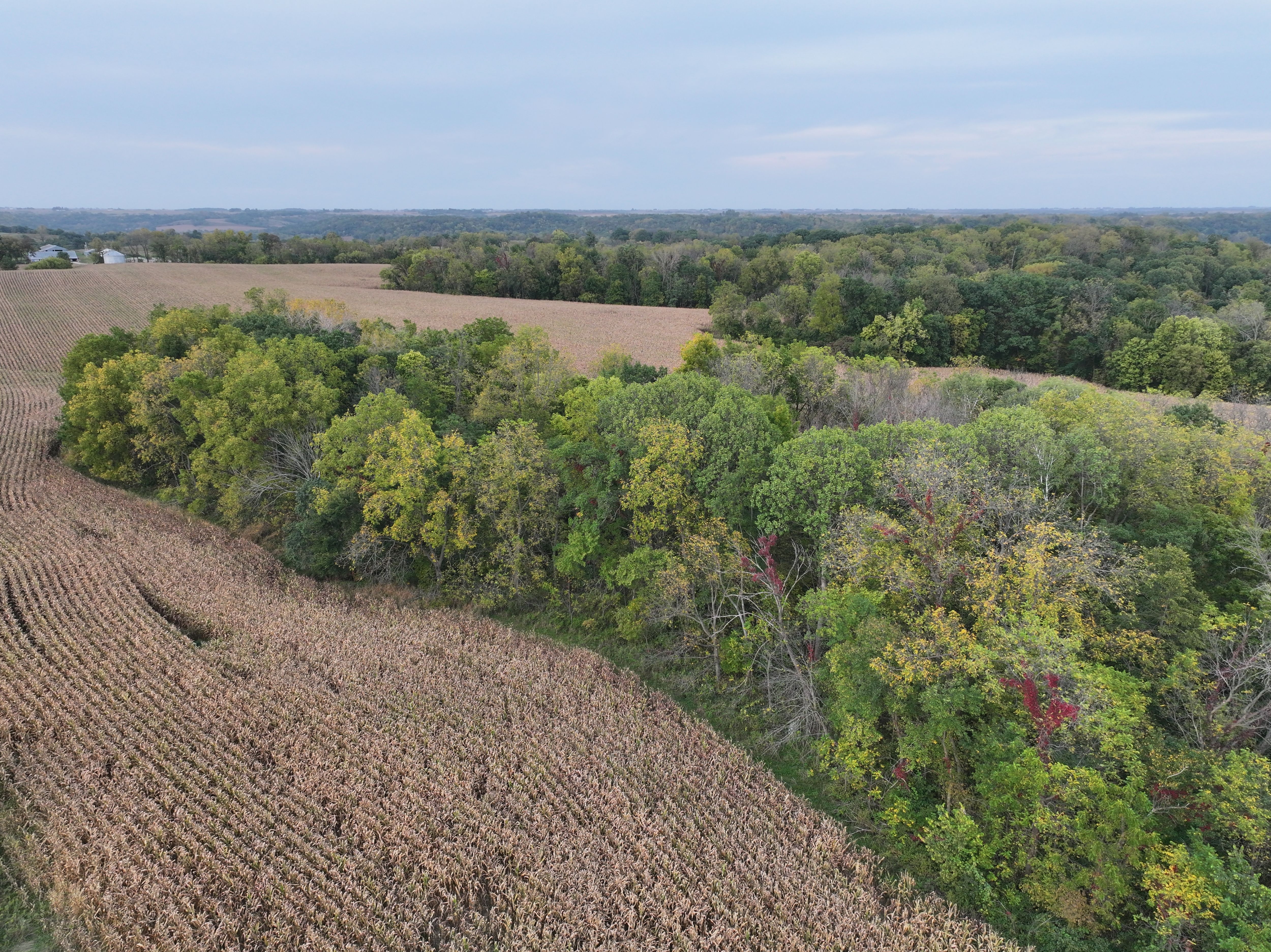 Listing Photo: Grannis-Creek-Area-Land-Available
