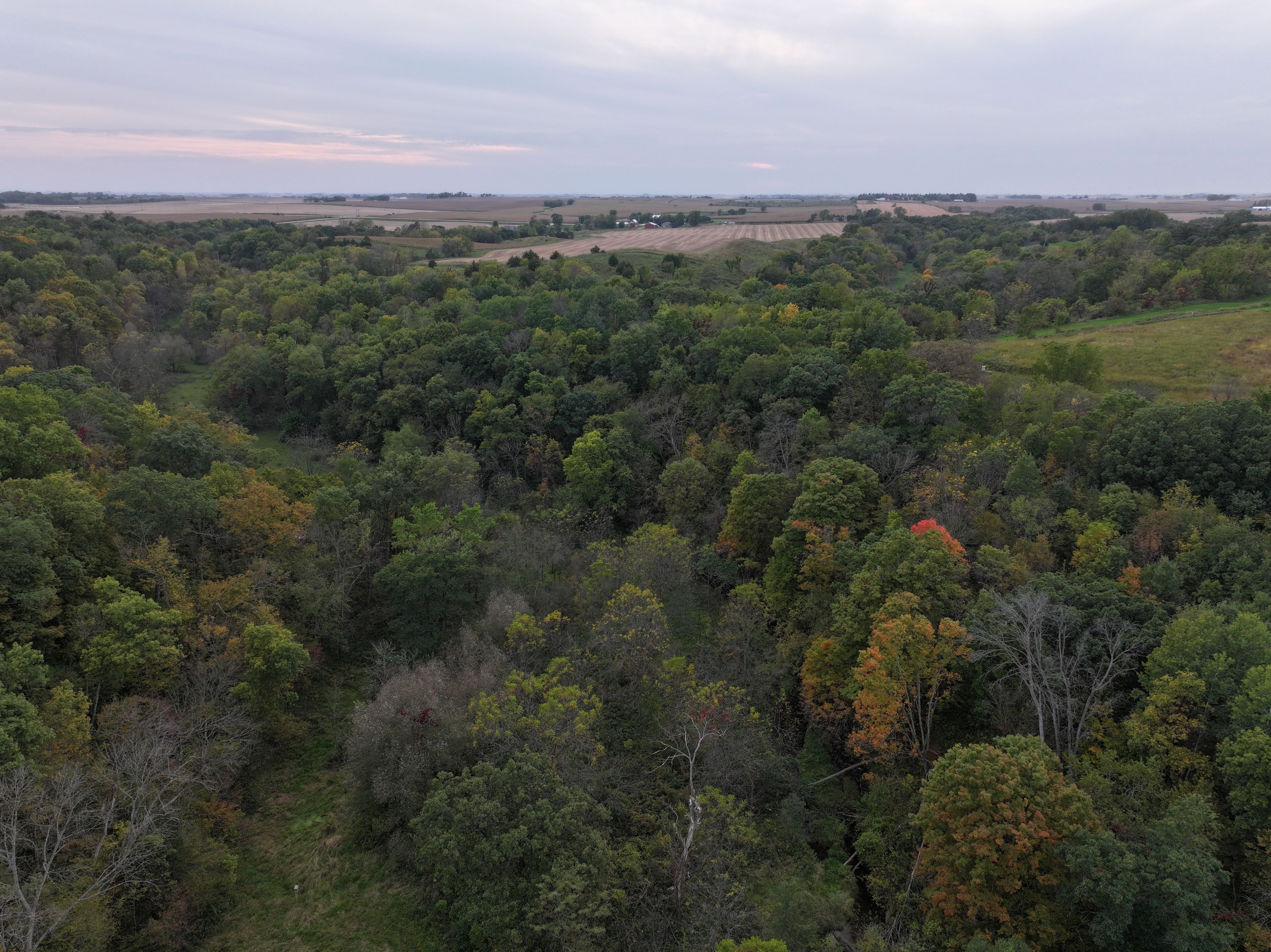 Listing Photo: Timberland-Fayette-County-Iowa