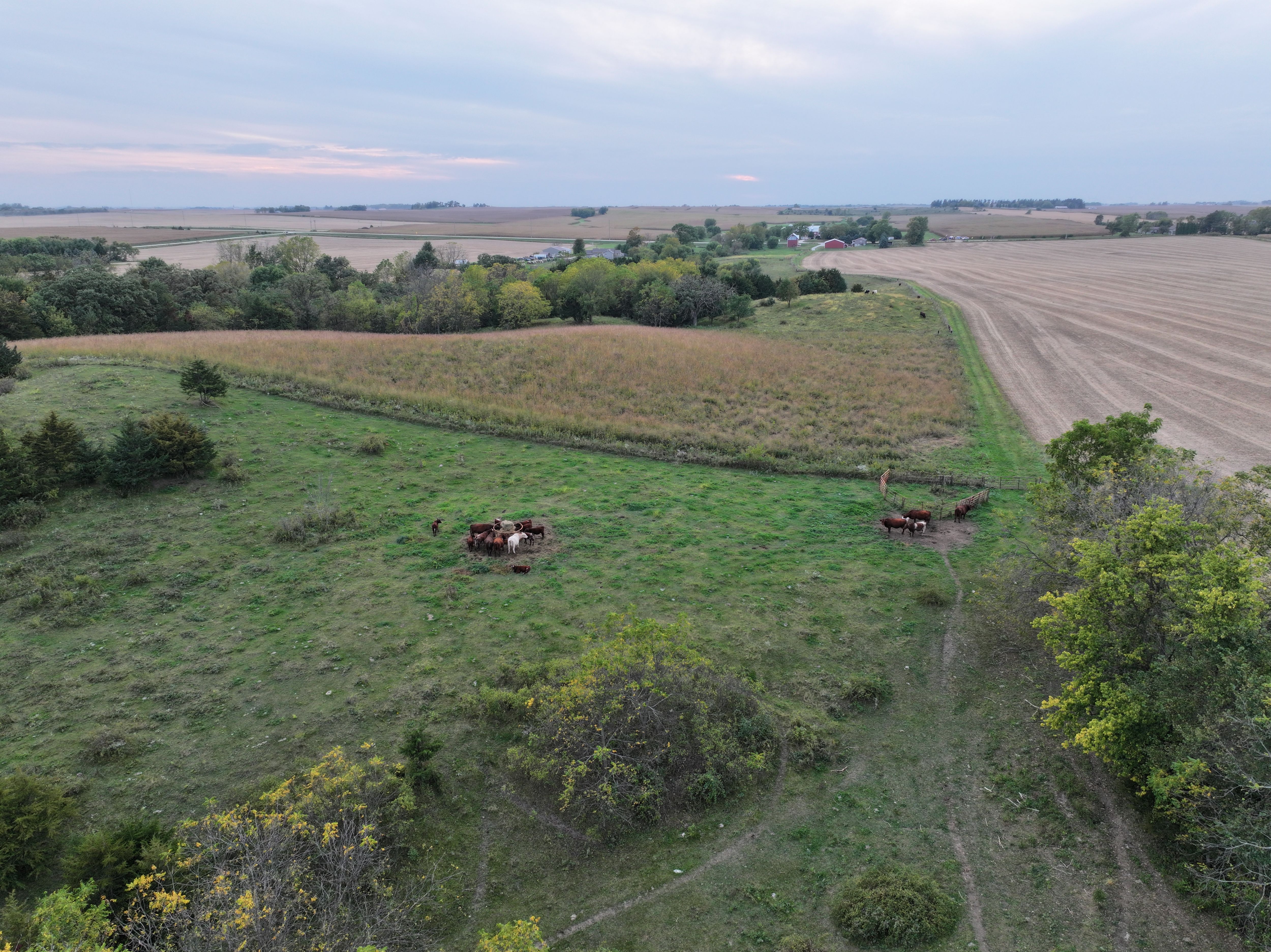 Listing Photo: Fayette County, Iowa Pasture Land