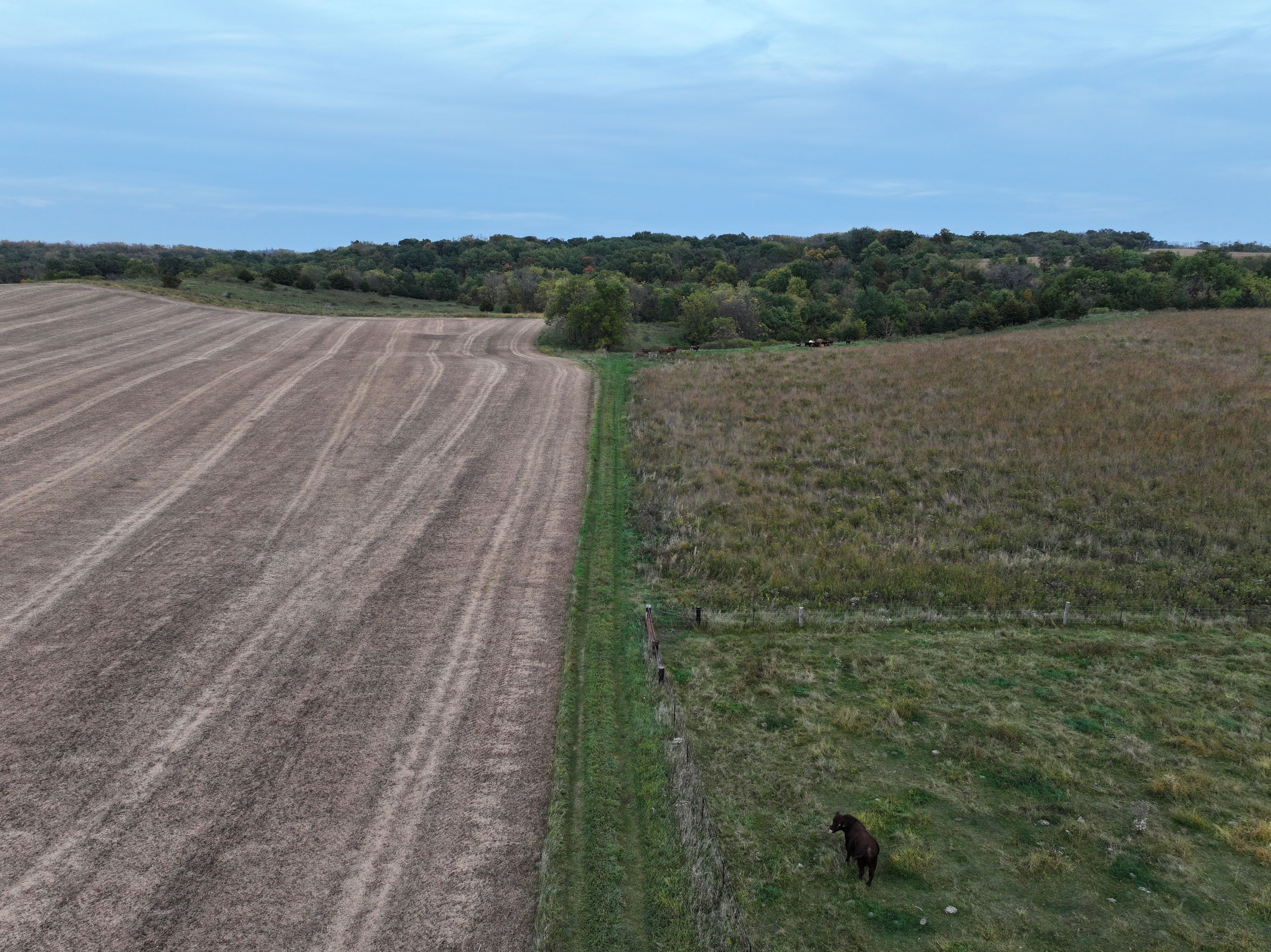 Listing Photo: Fayette County Iowa Land Easement